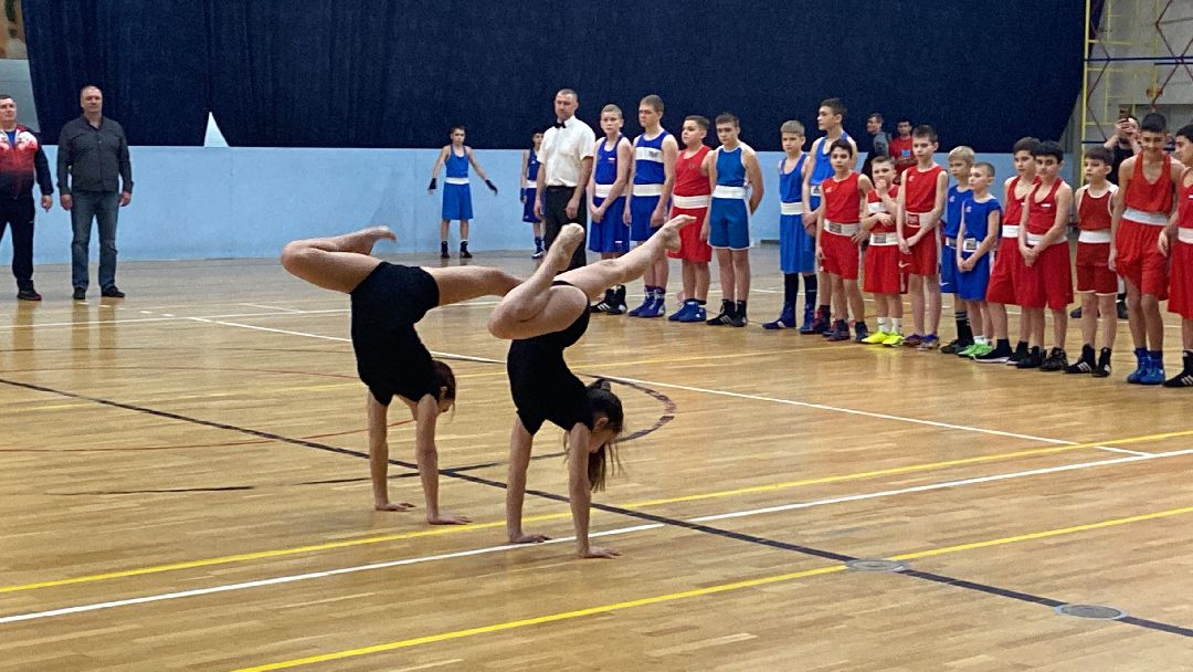 Волоколамск, спорт, бокс, юноши, спортсмены, первенство, соревнования,