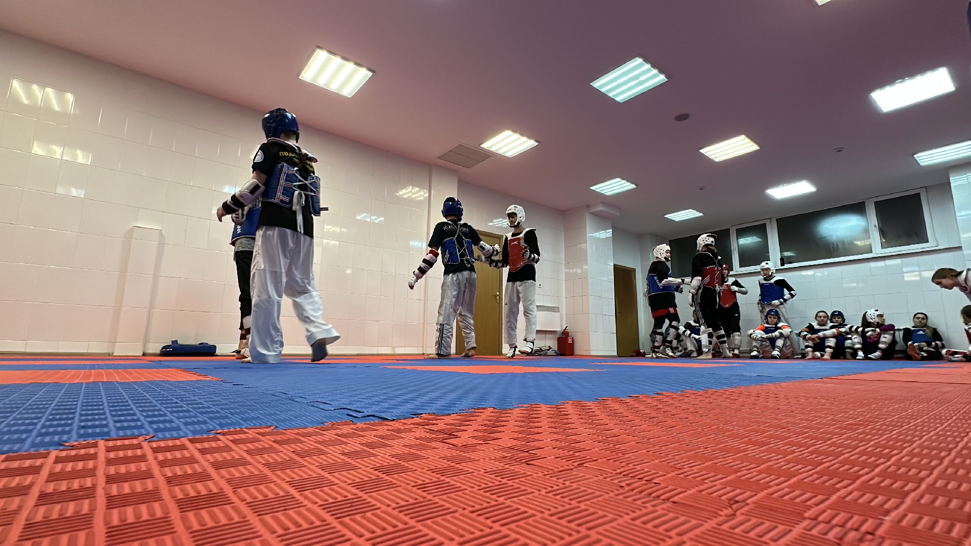 Одинцово, Тхэквондо, Чемпионы, Сборная МОсковской области по тхэквондо,