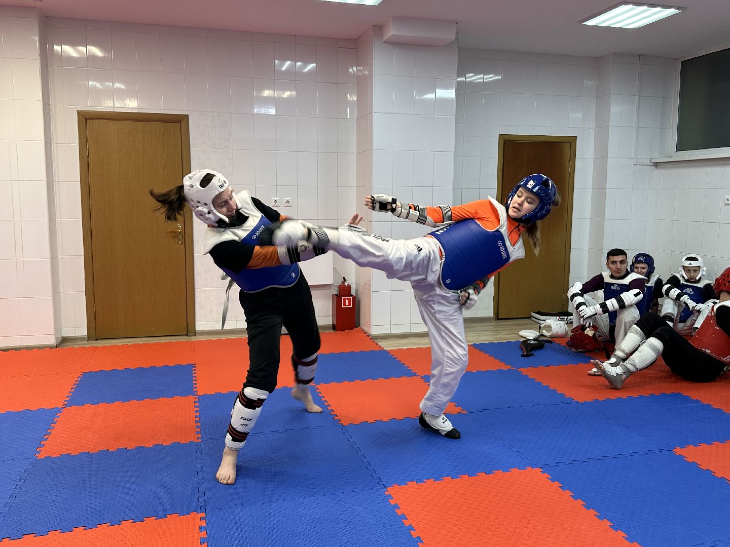 Одинцово, Тхэквондо, Чемпионы, Сборная МОсковской области по тхэквондо,