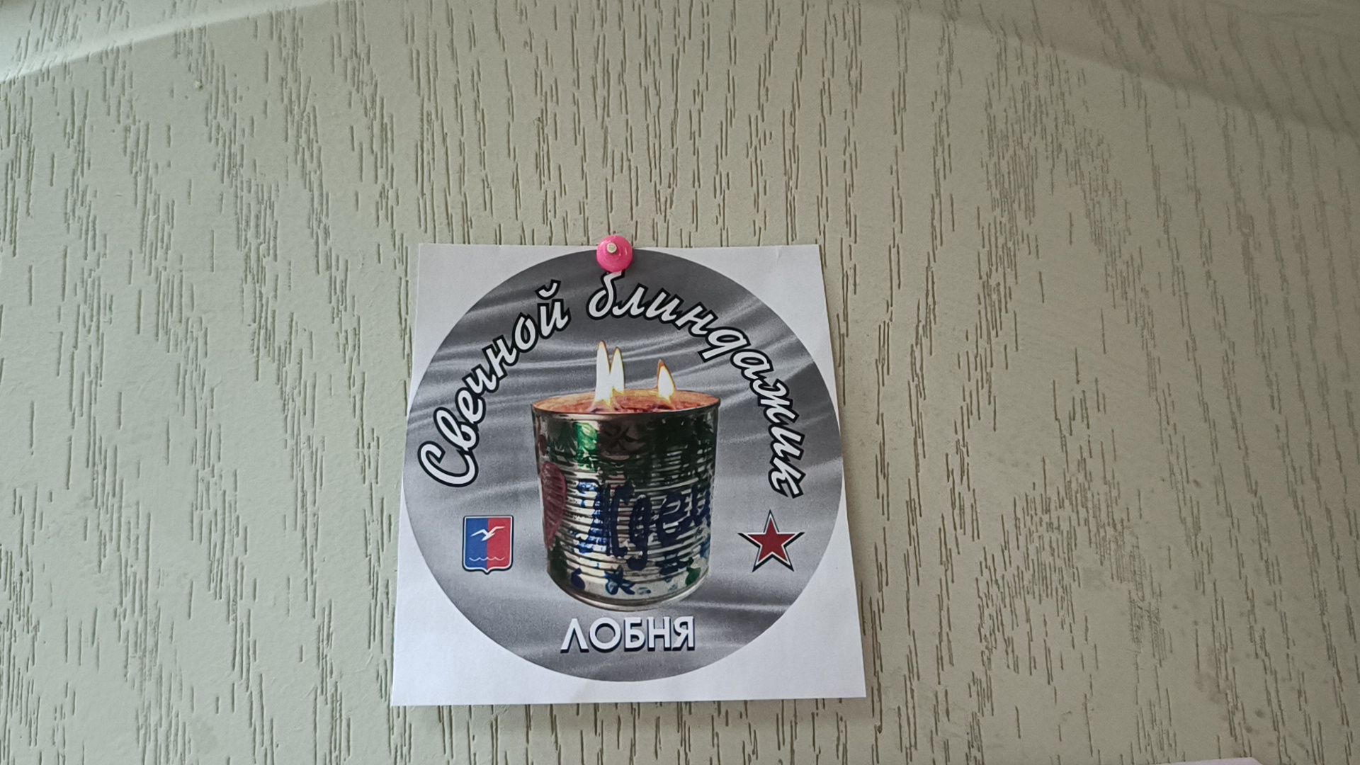 лобня, сво, волонтер, собака,