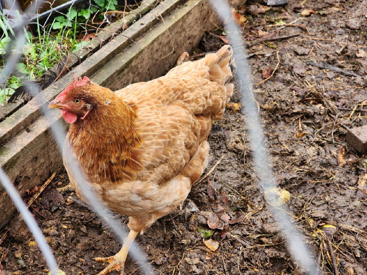 можайск, можайский городской округ, подмосковье, многодетная семья, многодетный отец, дети, воспитание детей,
