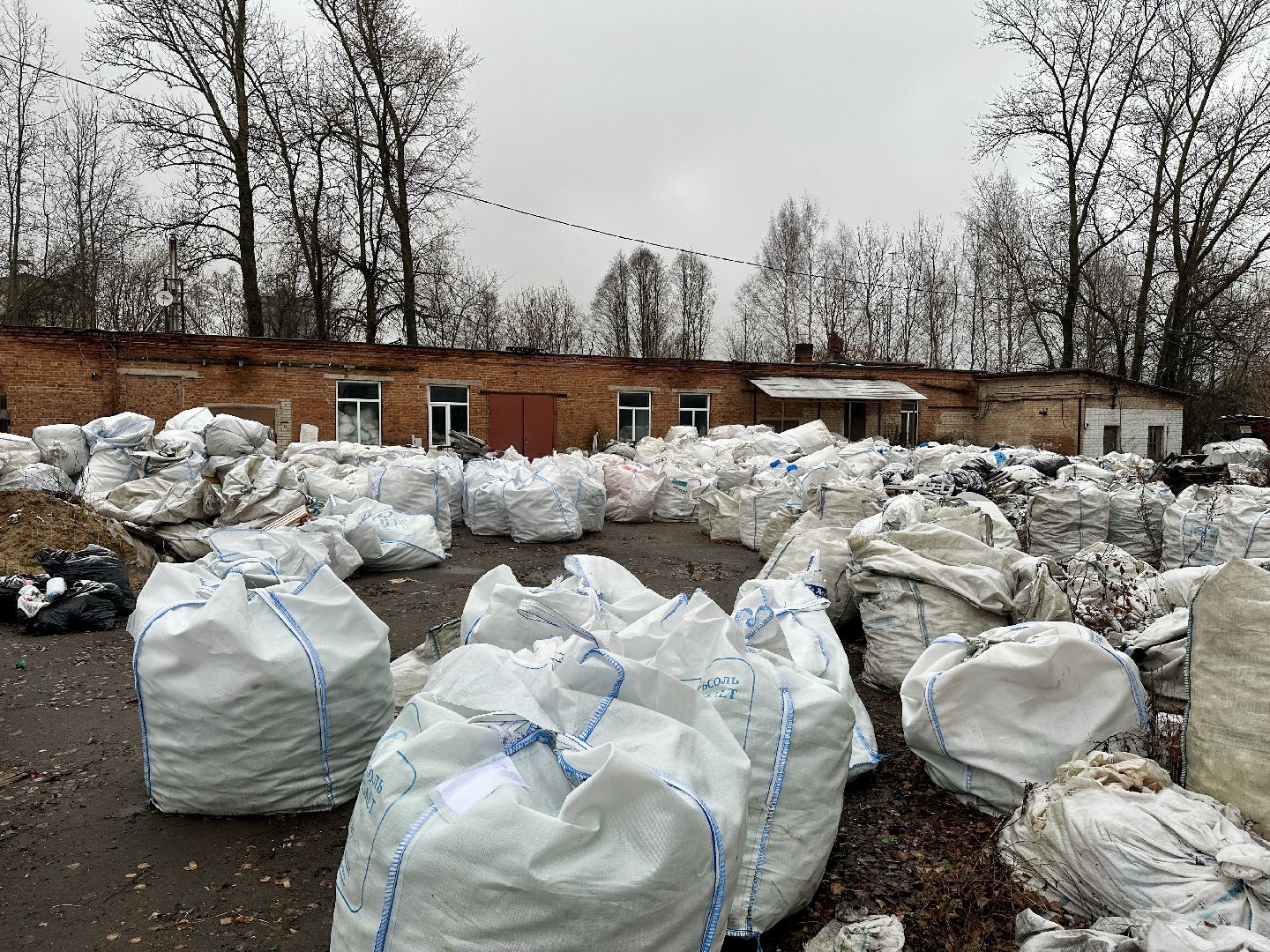 Клин, общество, экология, макулатура,