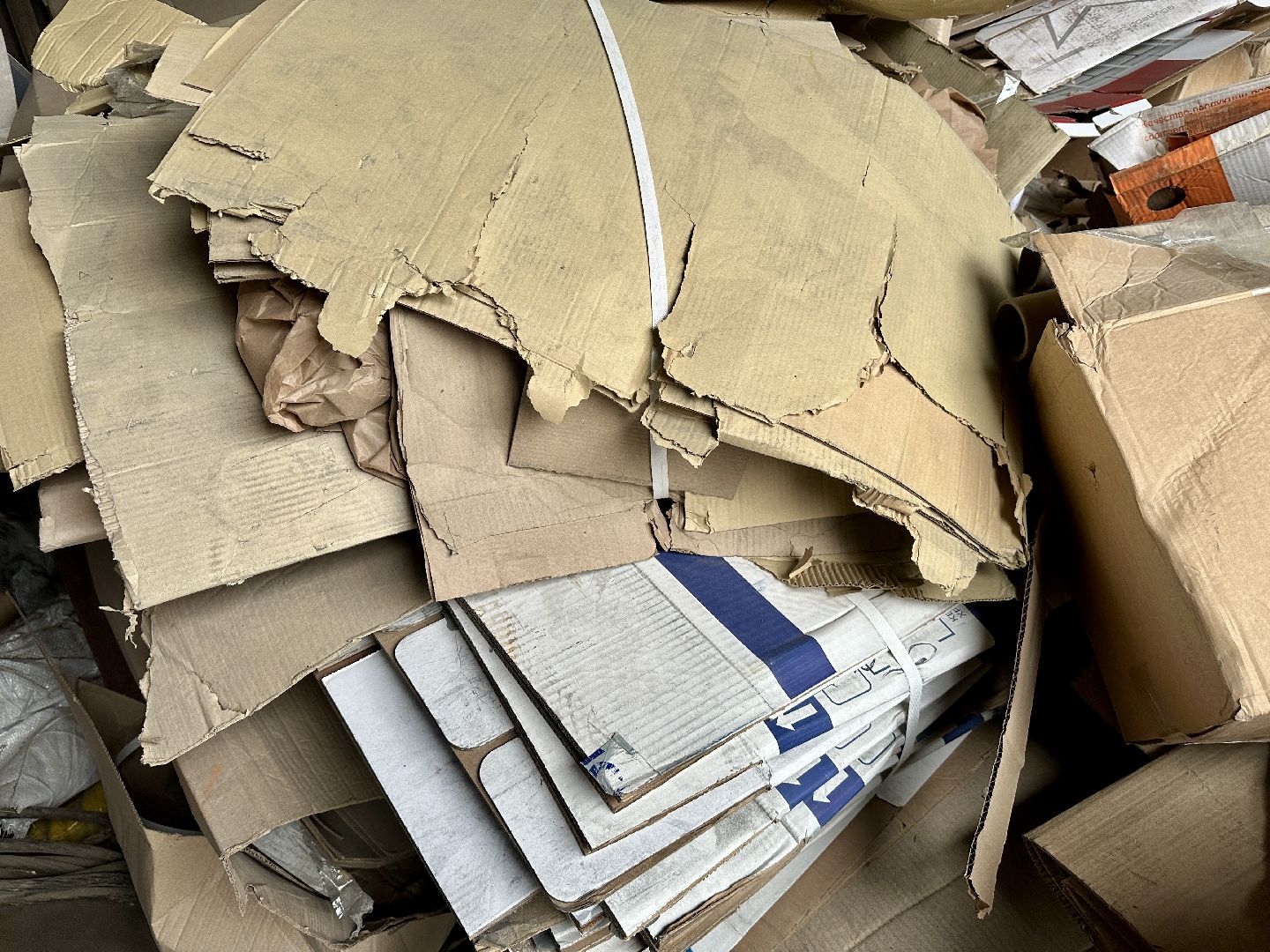 Клин, общество, экология, макулатура,