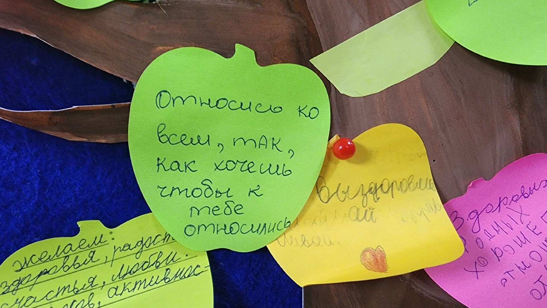 подмосковье, городской округ пушкинский, Ивантеевка, образование, День толерантности,