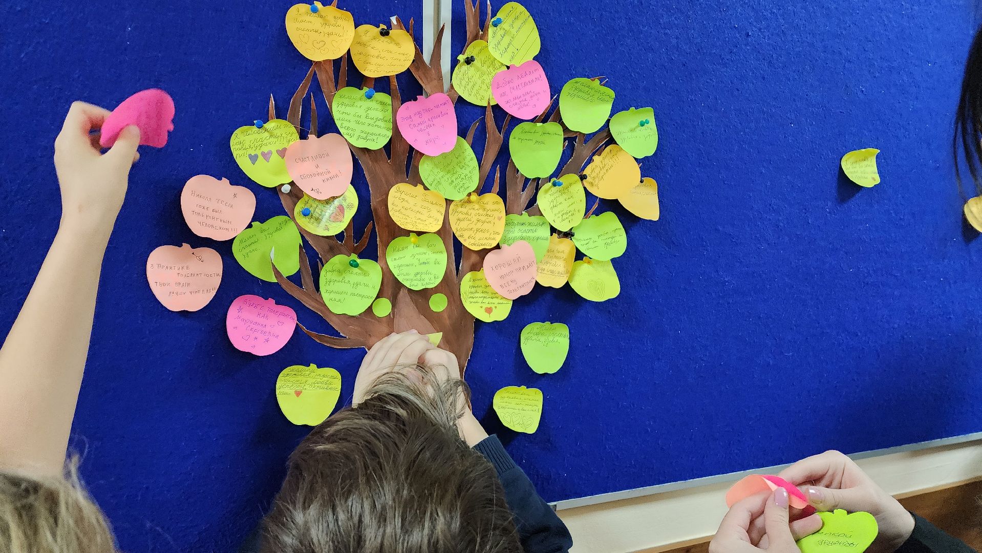 подмосковье, городской округ пушкинский, Ивантеевка, образование, День толерантности,