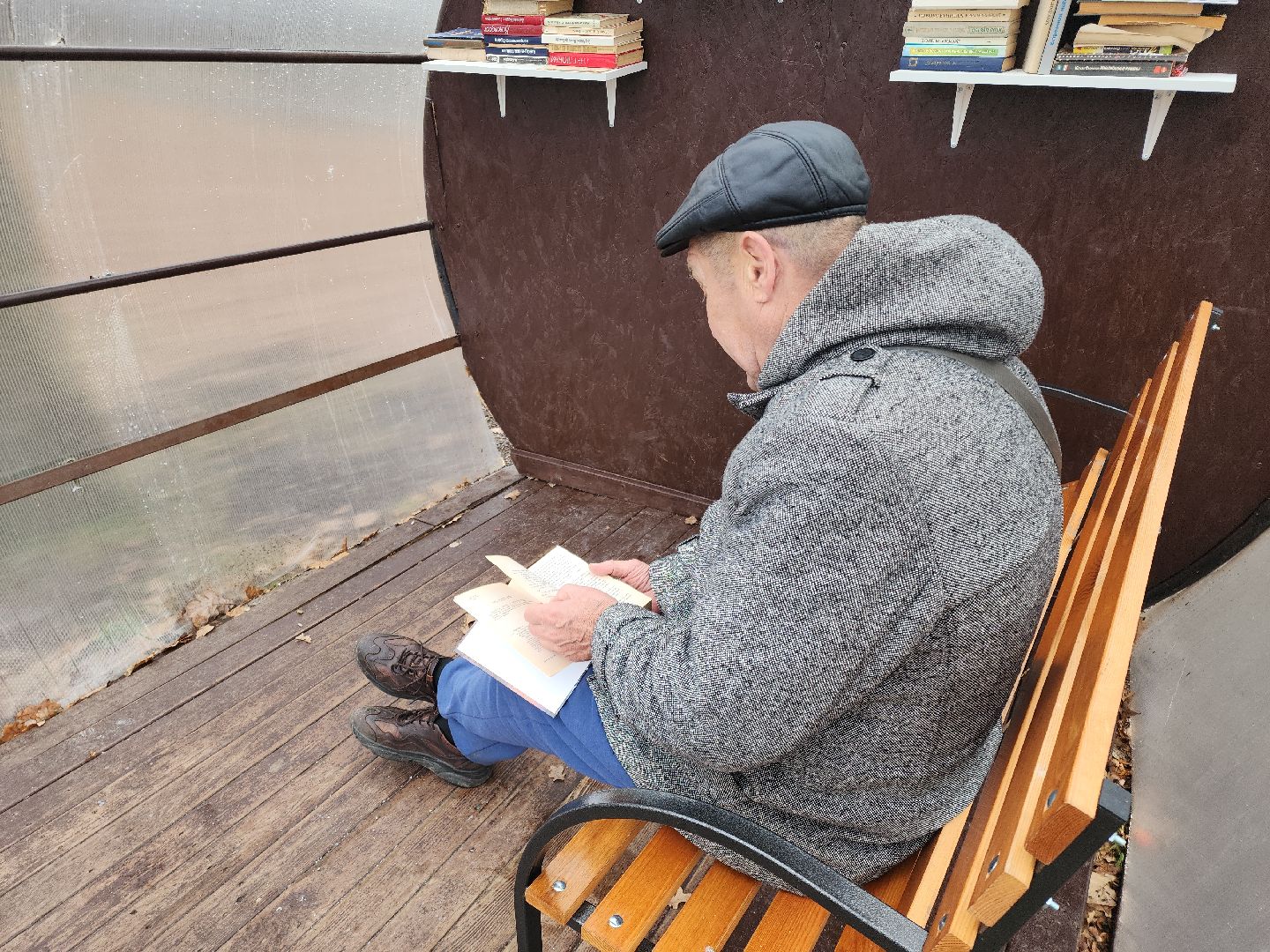 кашира, ожерелье, пкио дубовая роща, парк, благоустройство, освещение, дорожки,