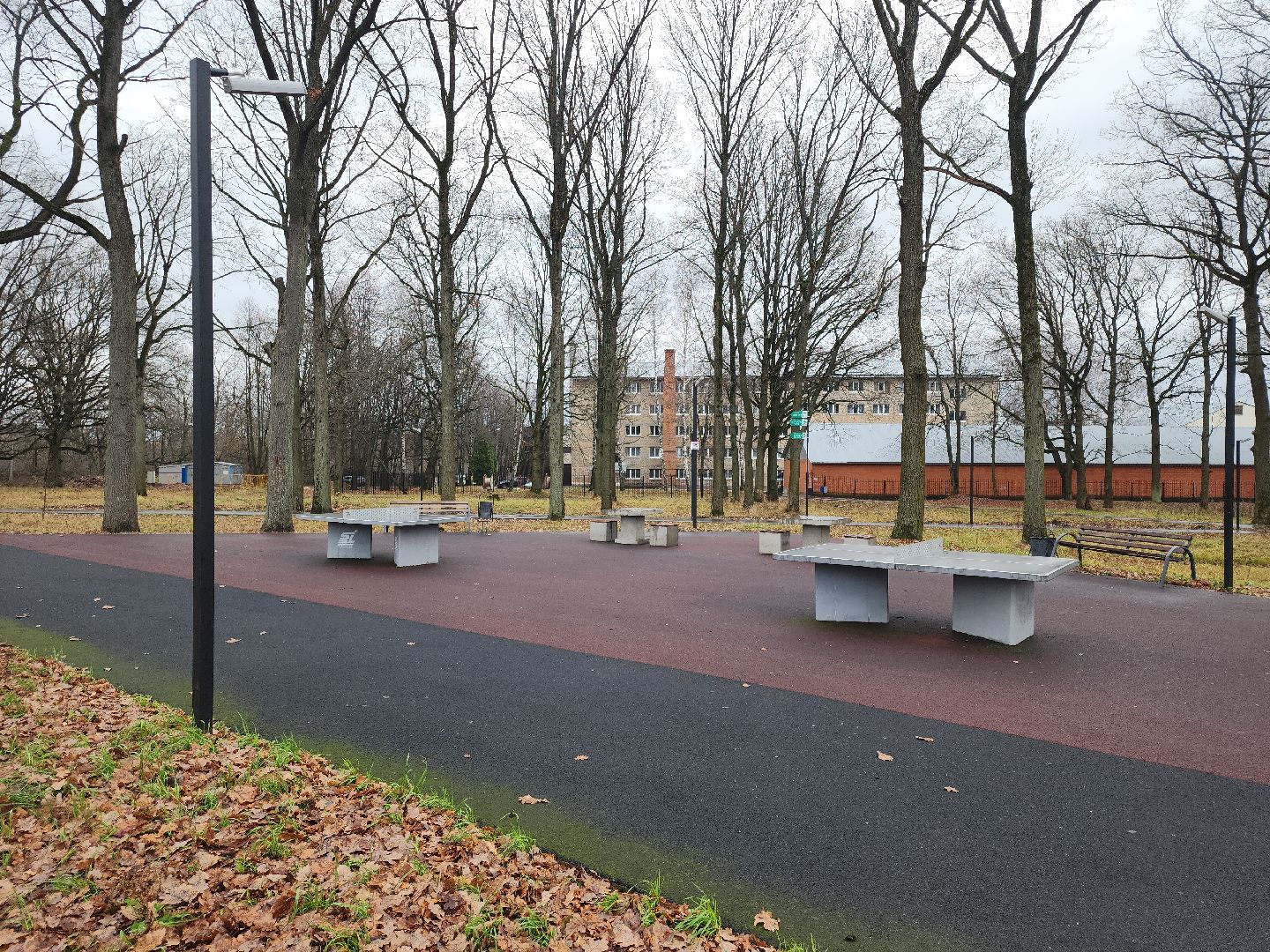 кашира, ожерелье, пкио дубовая роща, парк, благоустройство, освещение, дорожки,