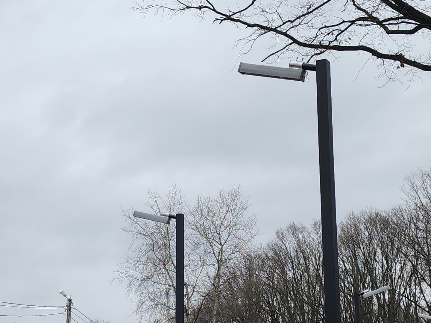 кашира, ожерелье, пкио дубовая роща, парк, благоустройство, освещение, дорожки,