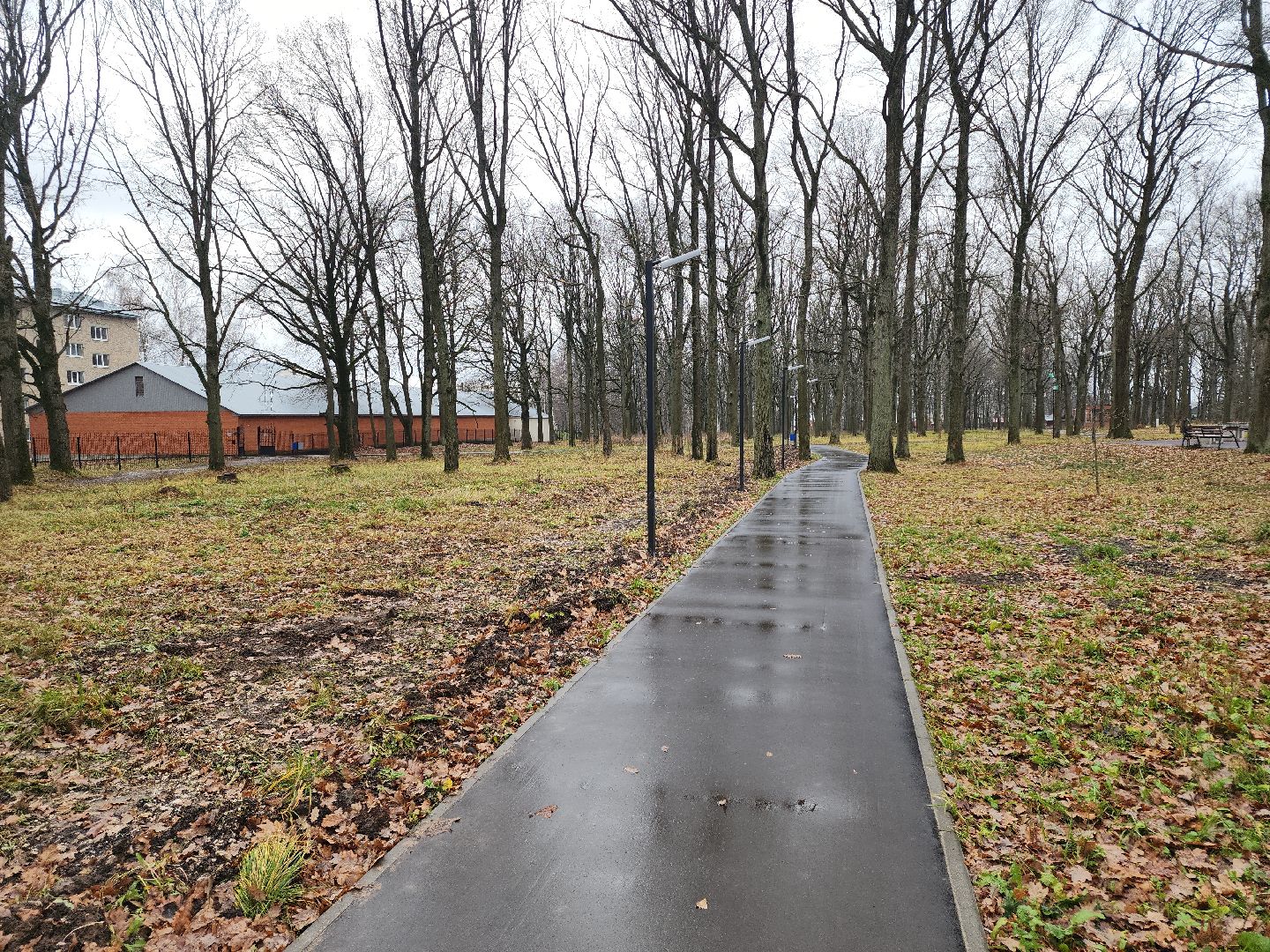 кашира, ожерелье, пкио дубовая роща, парк, благоустройство, освещение, дорожки,