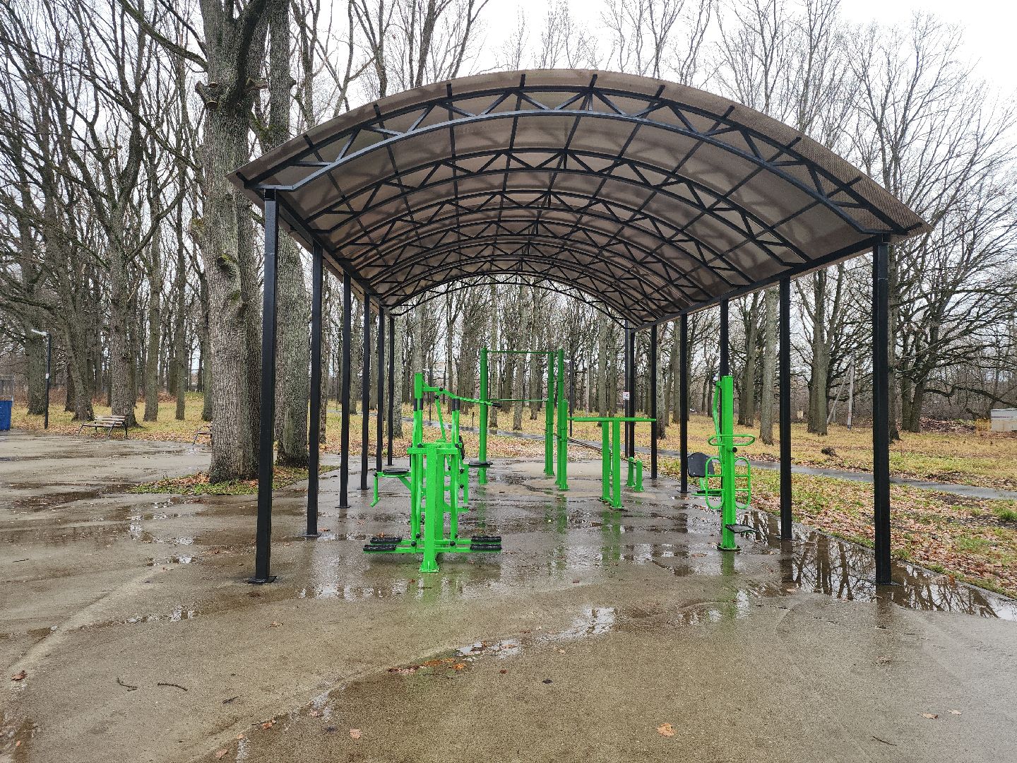 кашира, ожерелье, пкио дубовая роща, парк, благоустройство, освещение, дорожки,