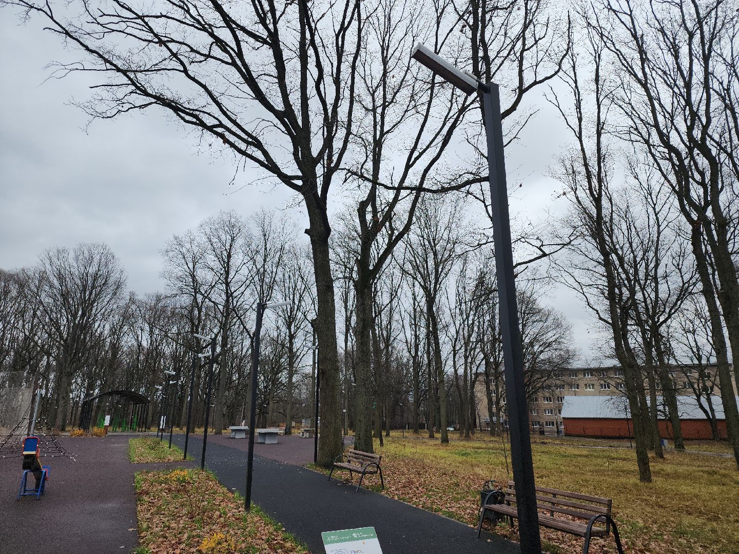 кашира, ожерелье, пкио дубовая роща, парк, благоустройство, освещение, дорожки,