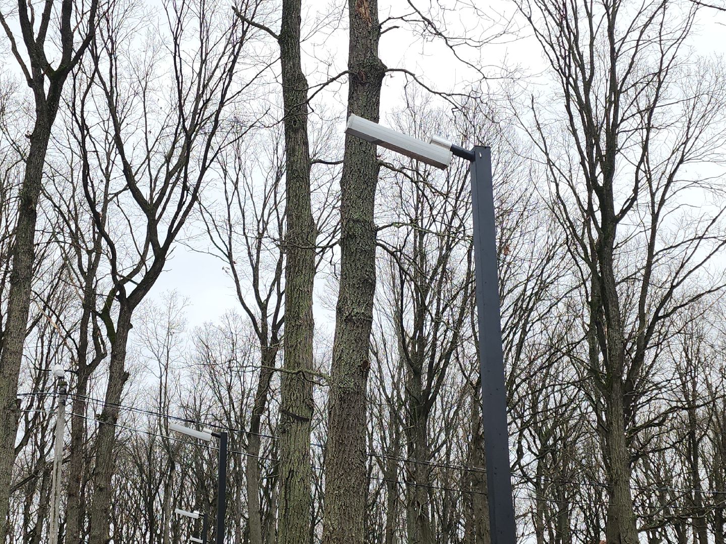 кашира, ожерелье, пкио дубовая роща, парк, благоустройство, освещение, дорожки,