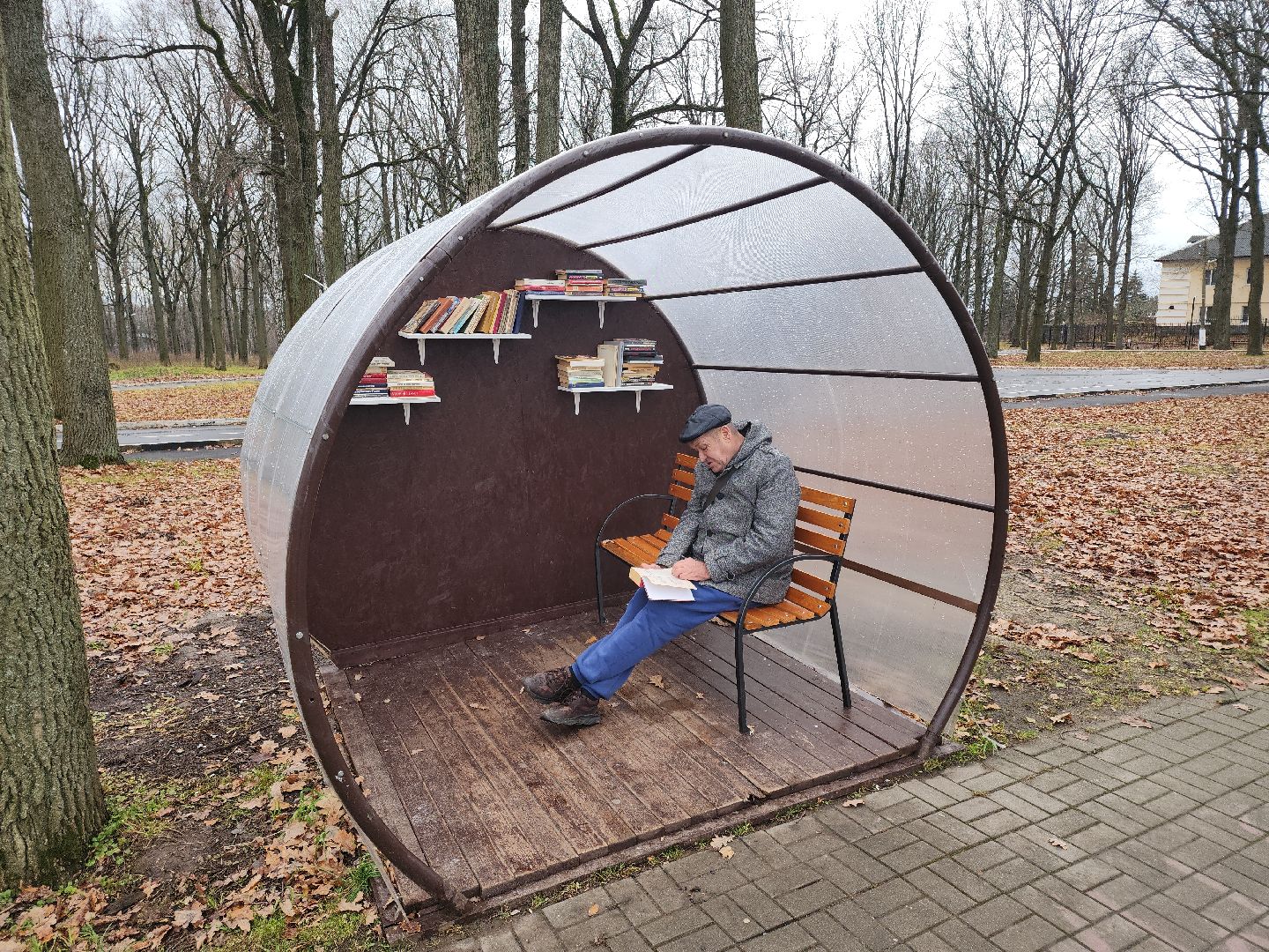 кашира, ожерелье, пкио дубовая роща, парк, благоустройство, освещение, дорожки,