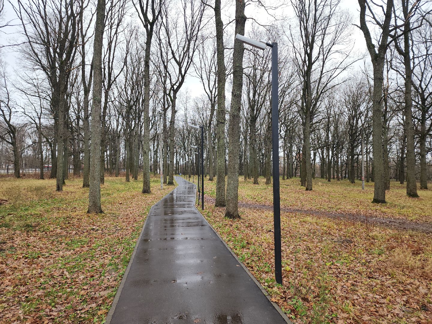 кашира, ожерелье, пкио дубовая роща, парк, благоустройство, освещение, дорожки,