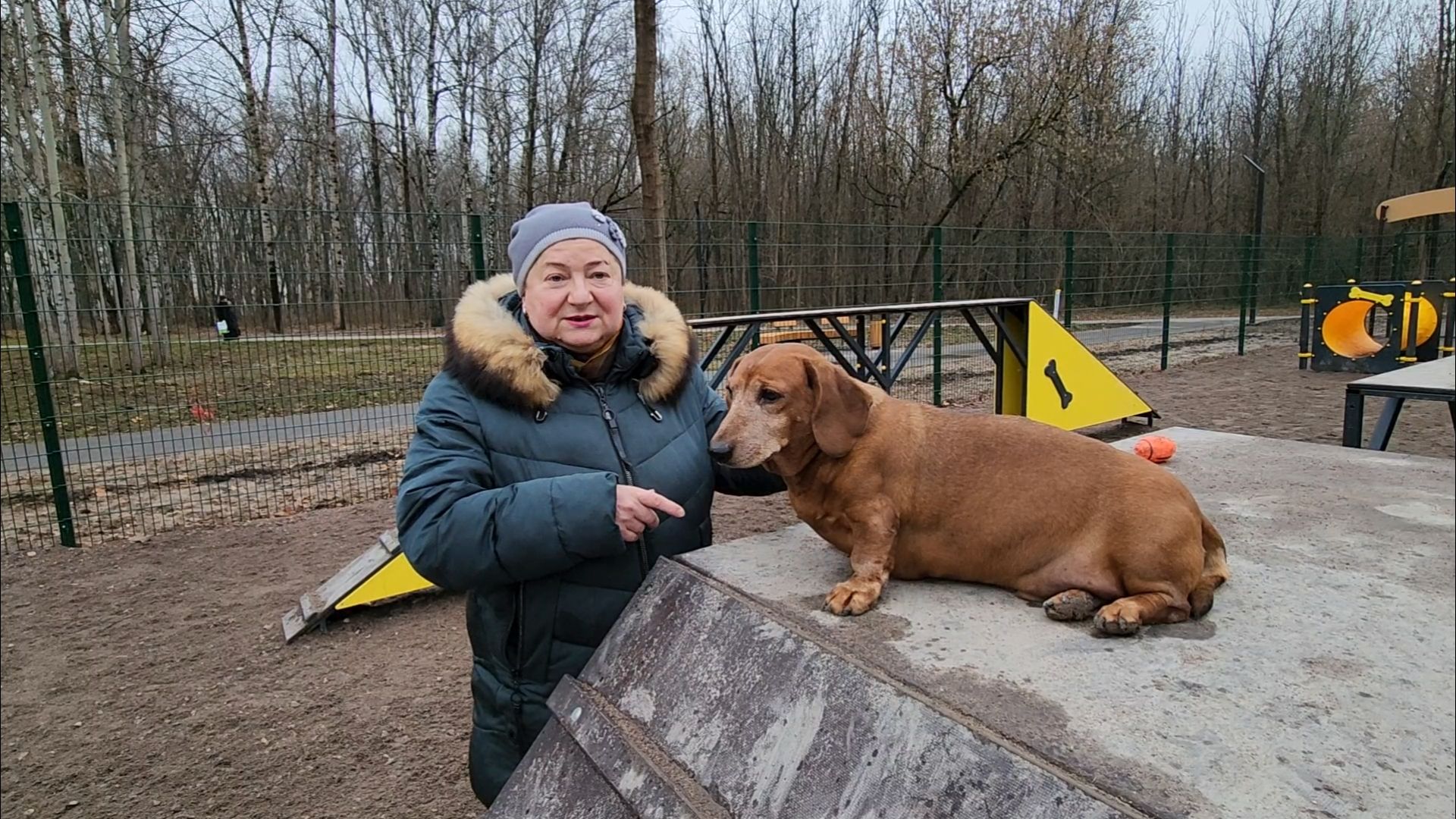 подольск, такса,