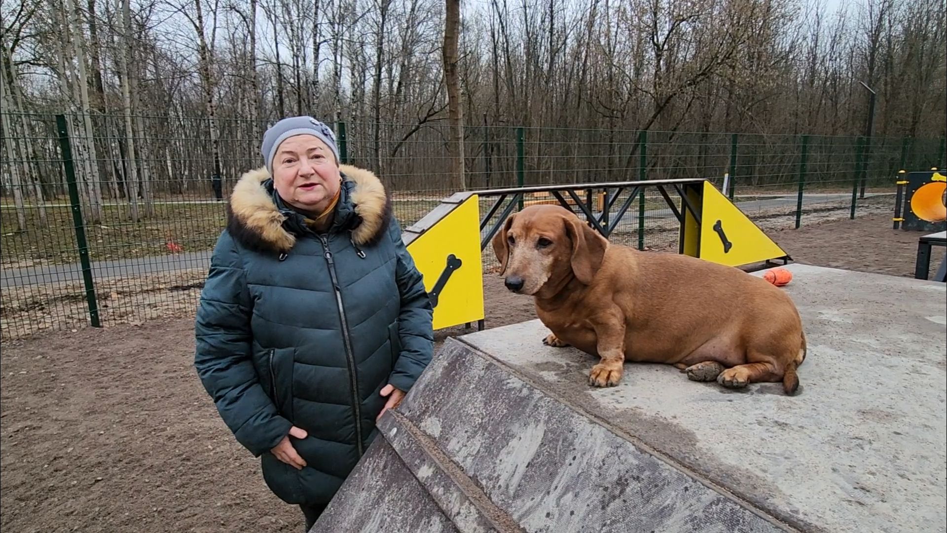 подольск, такса,