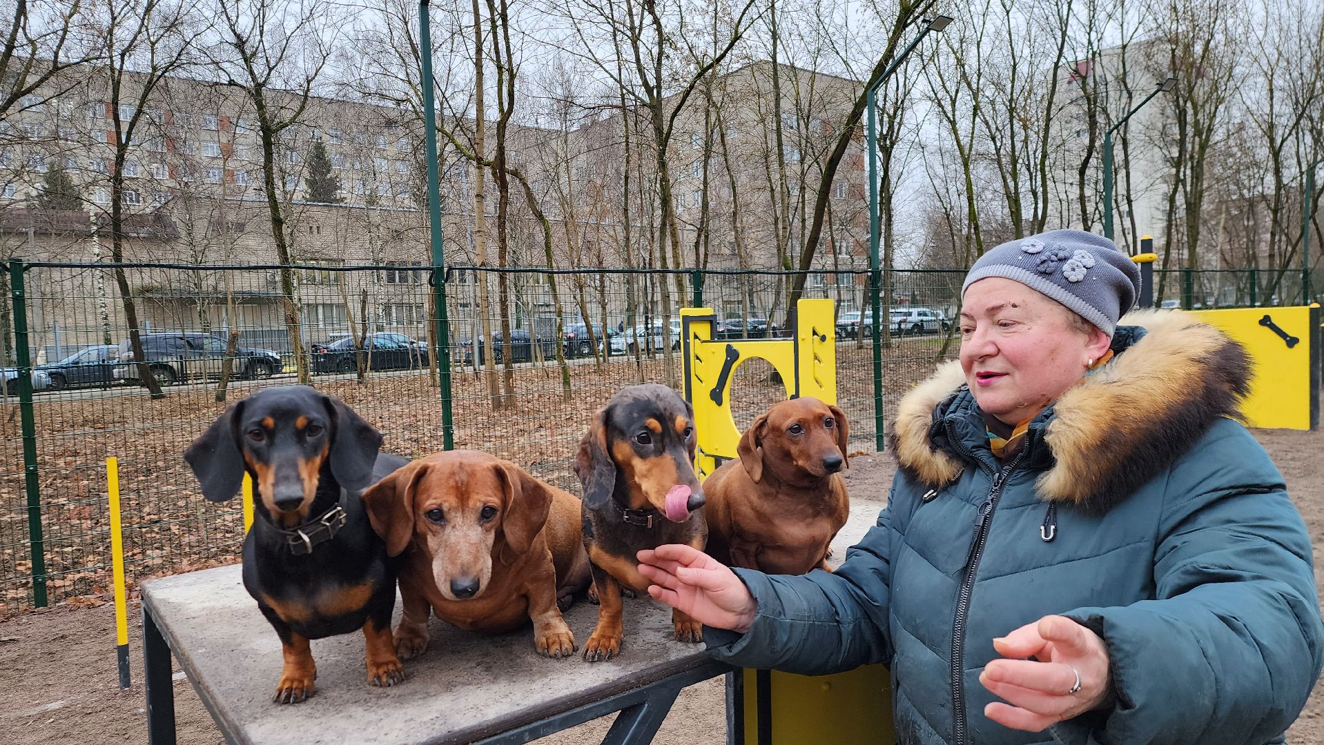 подольск, такса,