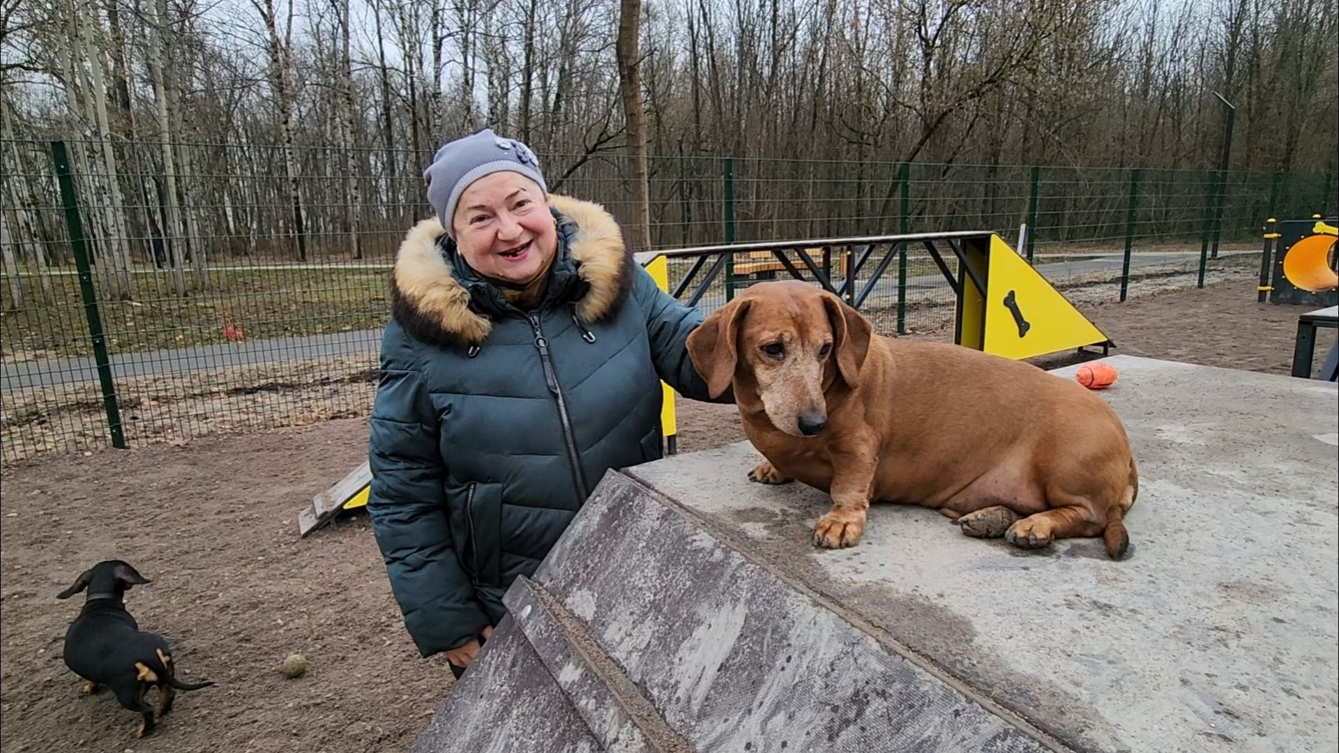 подольск, такса,