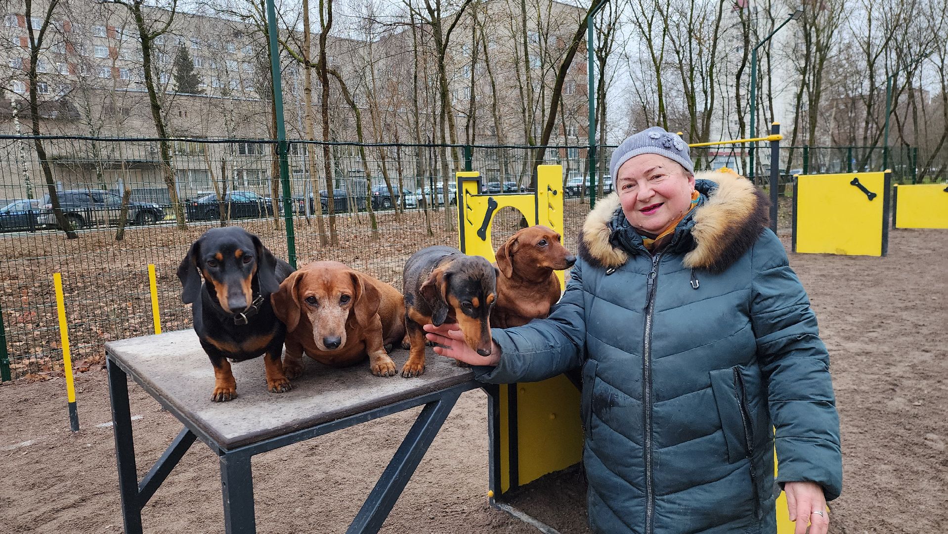 подольск, такса,