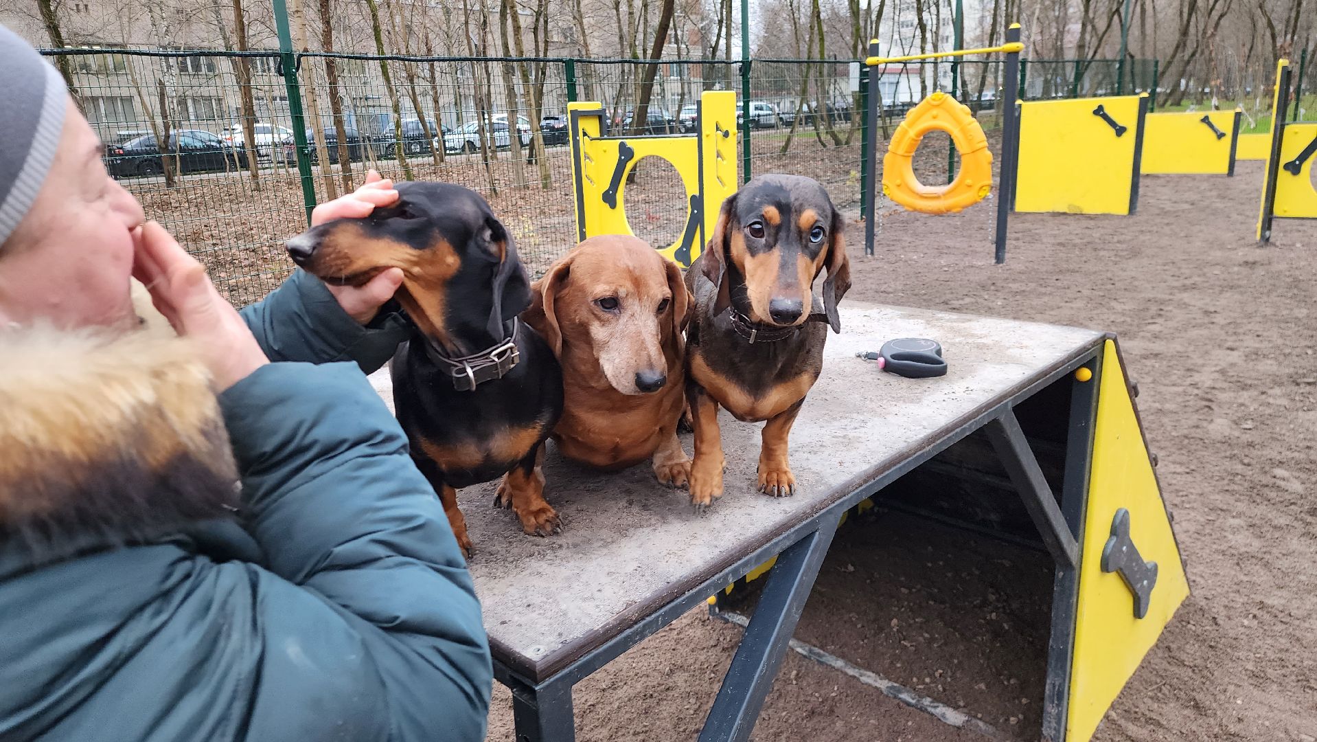 подольск, такса,