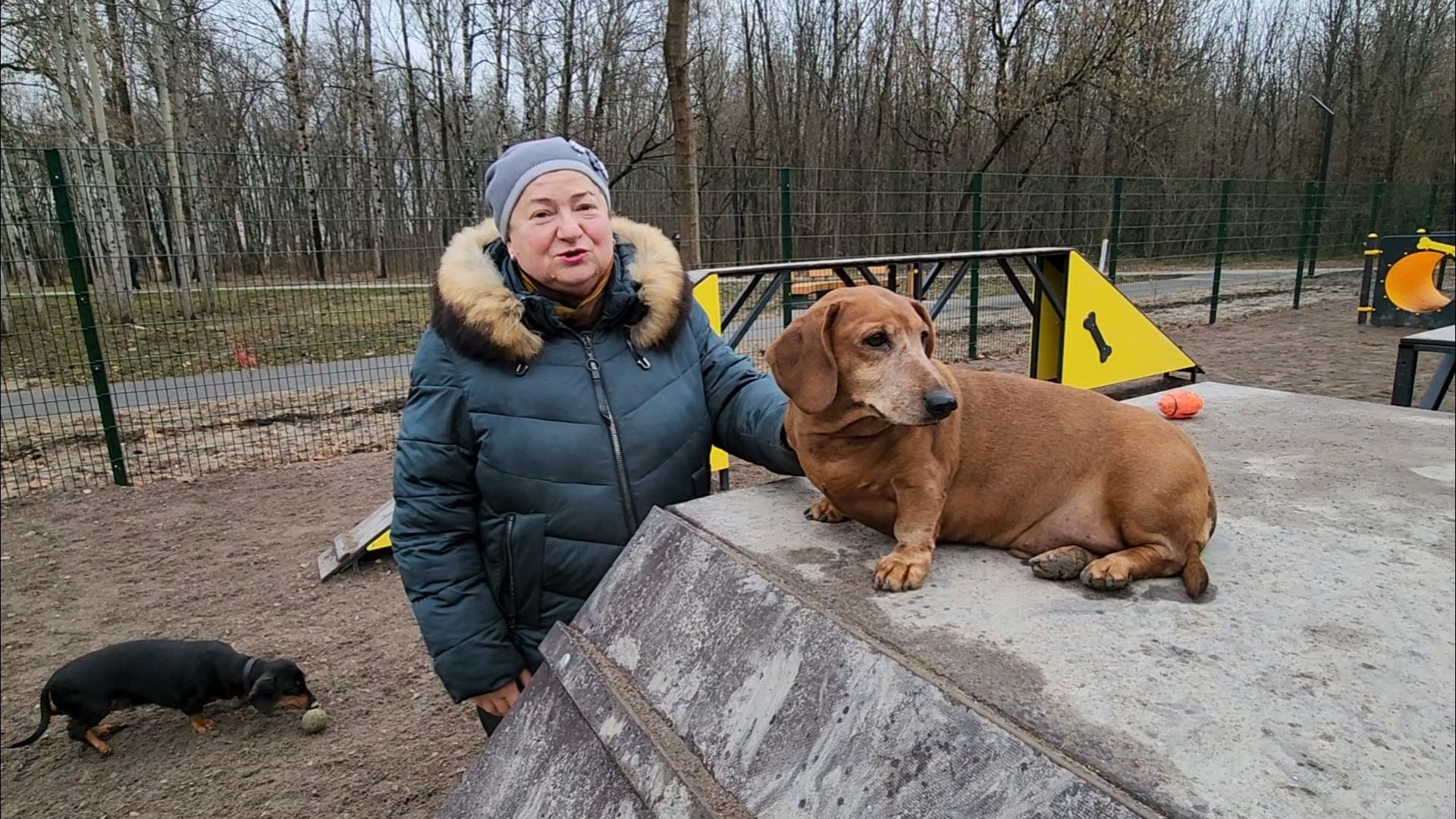 подольск, такса,