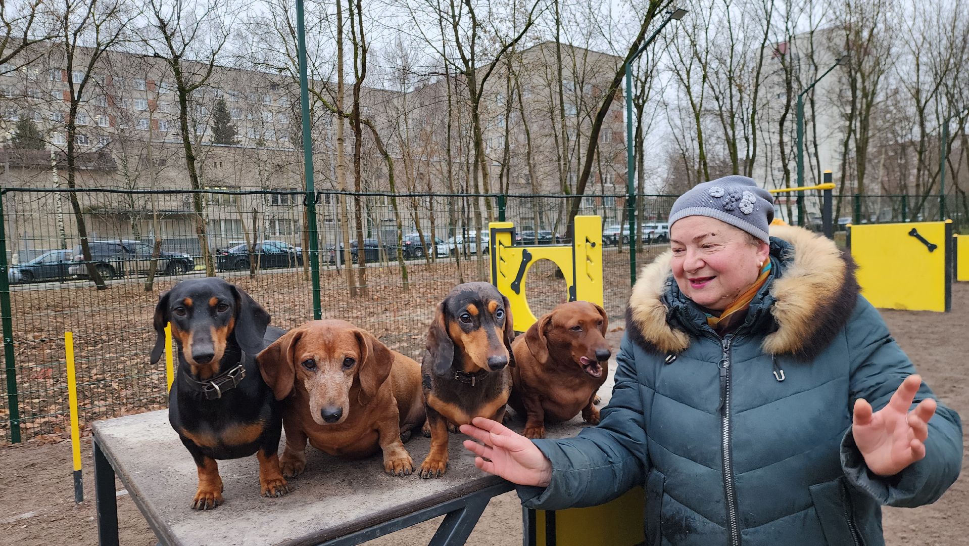 подольск, такса,