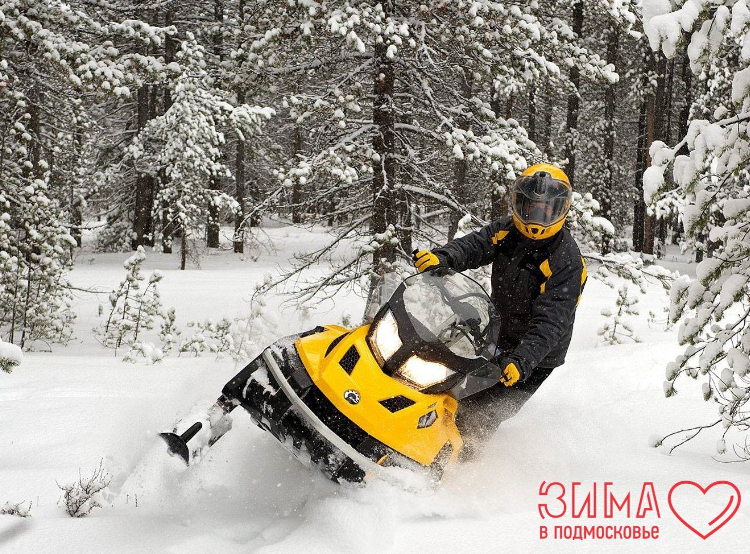 Дмитров, Туризм, Волен, Зооферма Шихово, Российские альпаки, Картодром Маяк, Целеево, Клуб Тягачева, Дмитровский кремль,