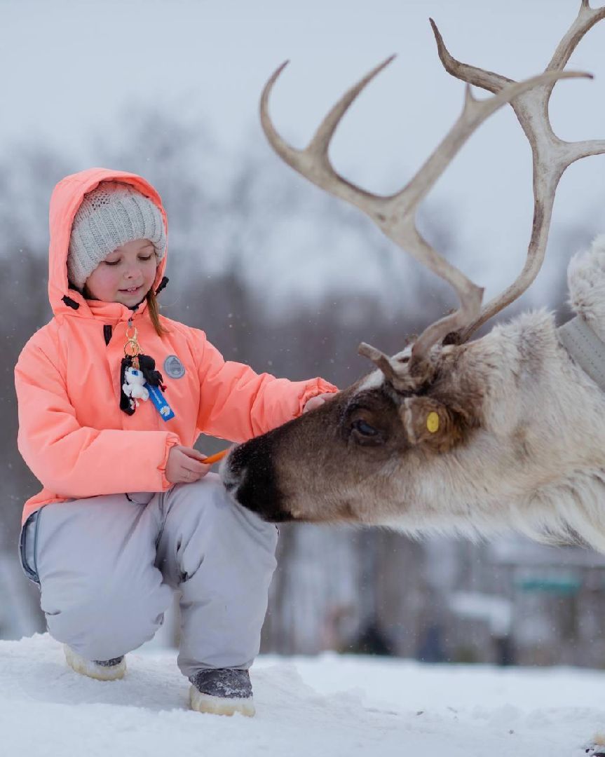 Дмитров, Туризм, Волен, Зооферма Шихово, Российские альпаки, Картодром Маяк, Целеево, Клуб Тягачева, Дмитровский кремль,