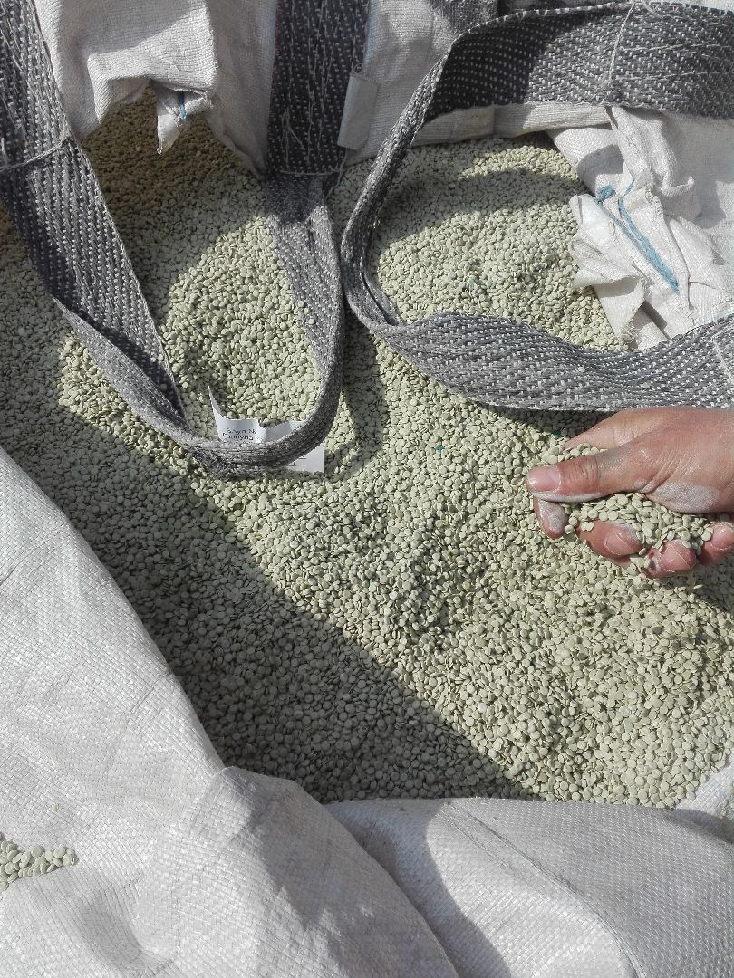 раздельный сбор отходов, мусор, экологическая акция, Ногинск, Богородский городской округ,