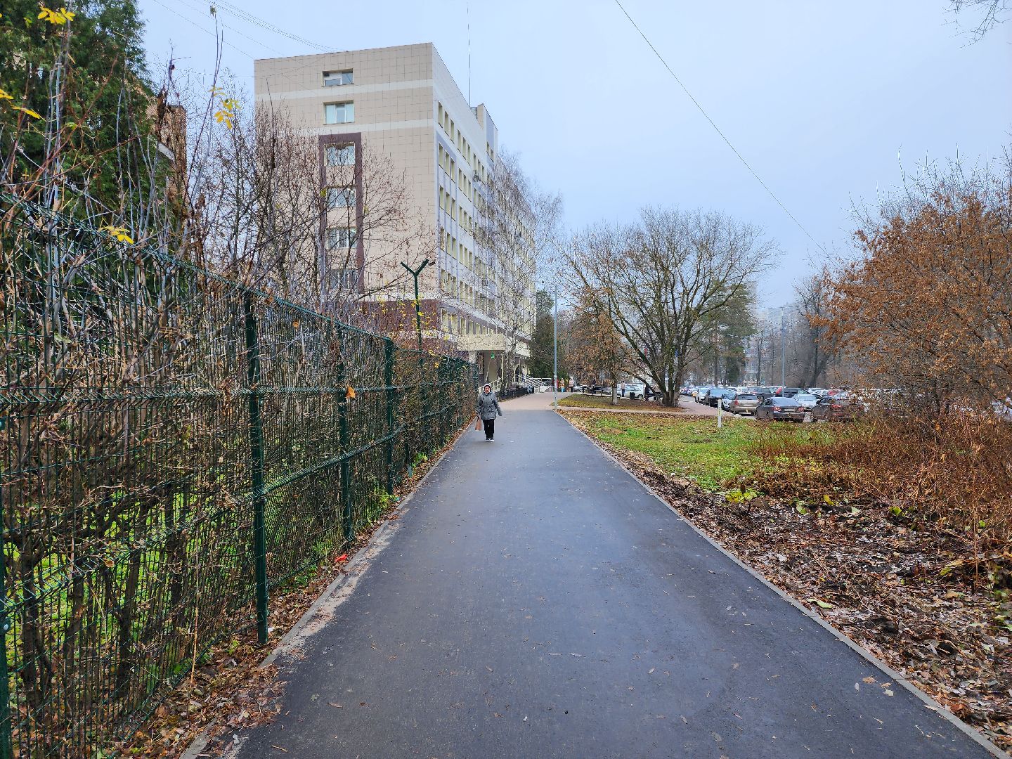 раменское, благоуйстройство, пешеходная дорога от Карла Маркса до Махова,