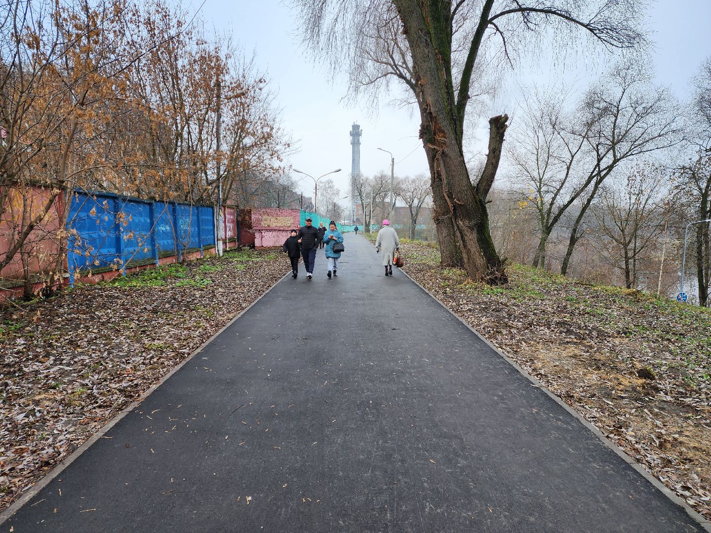 раменское, благоуйстройство, пешеходная дорога от Карла Маркса до Махова,