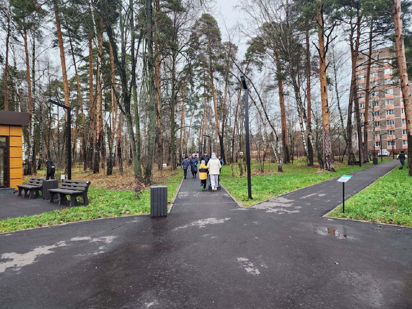 Синичкин день, экологическая акция, птицы, Ногинск, Богородский городской округ,