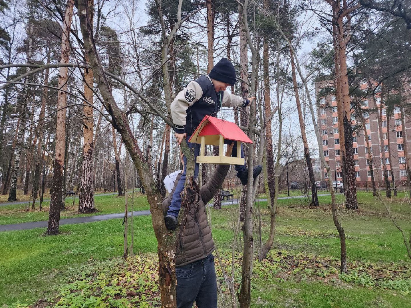 Синичкин день, экологическая акция, птицы, Ногинск, Богородский городской округ,