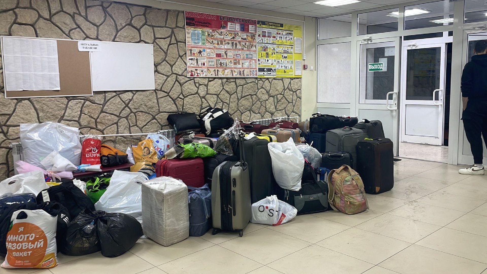 волоколамск, волонтеры, беженцы, лагерь, сектор Газа,