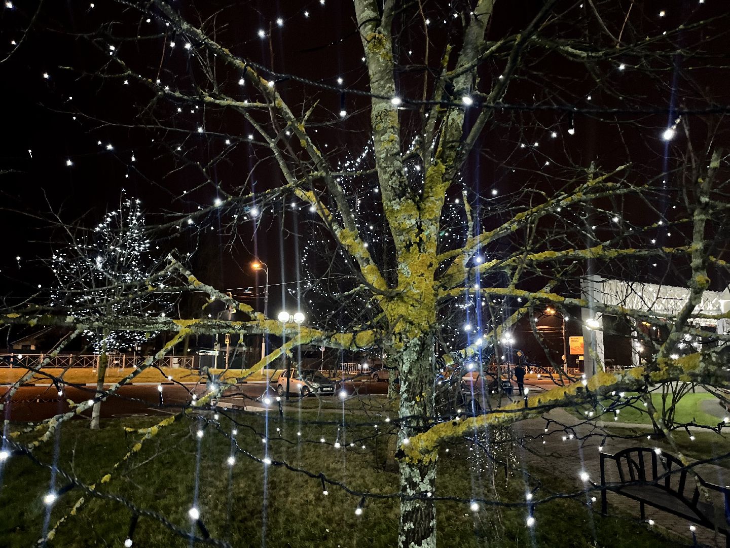 наро-фоминск, центральный парк наро-фоминска, парки подмосковья, день рождения Деда Мороза, Новый год, зима, новогодние украшения, коробка храбрости,