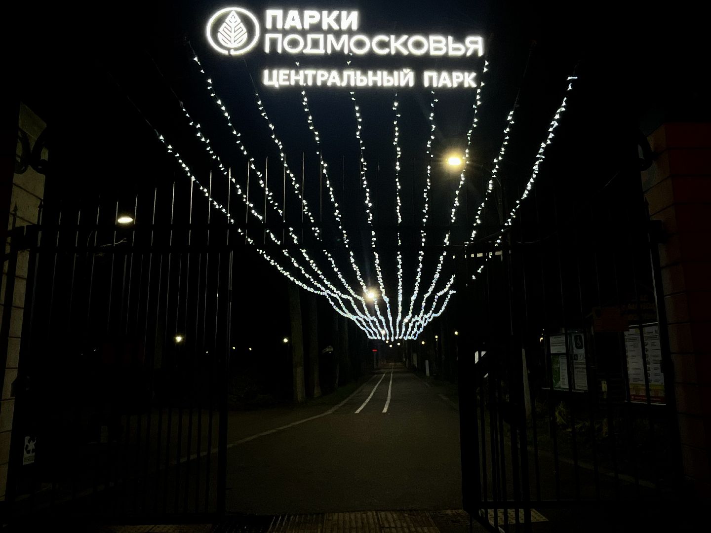 наро-фоминск, центральный парк наро-фоминска, парки подмосковья, день рождения Деда Мороза, Новый год, зима, новогодние украшения, коробка храбрости,