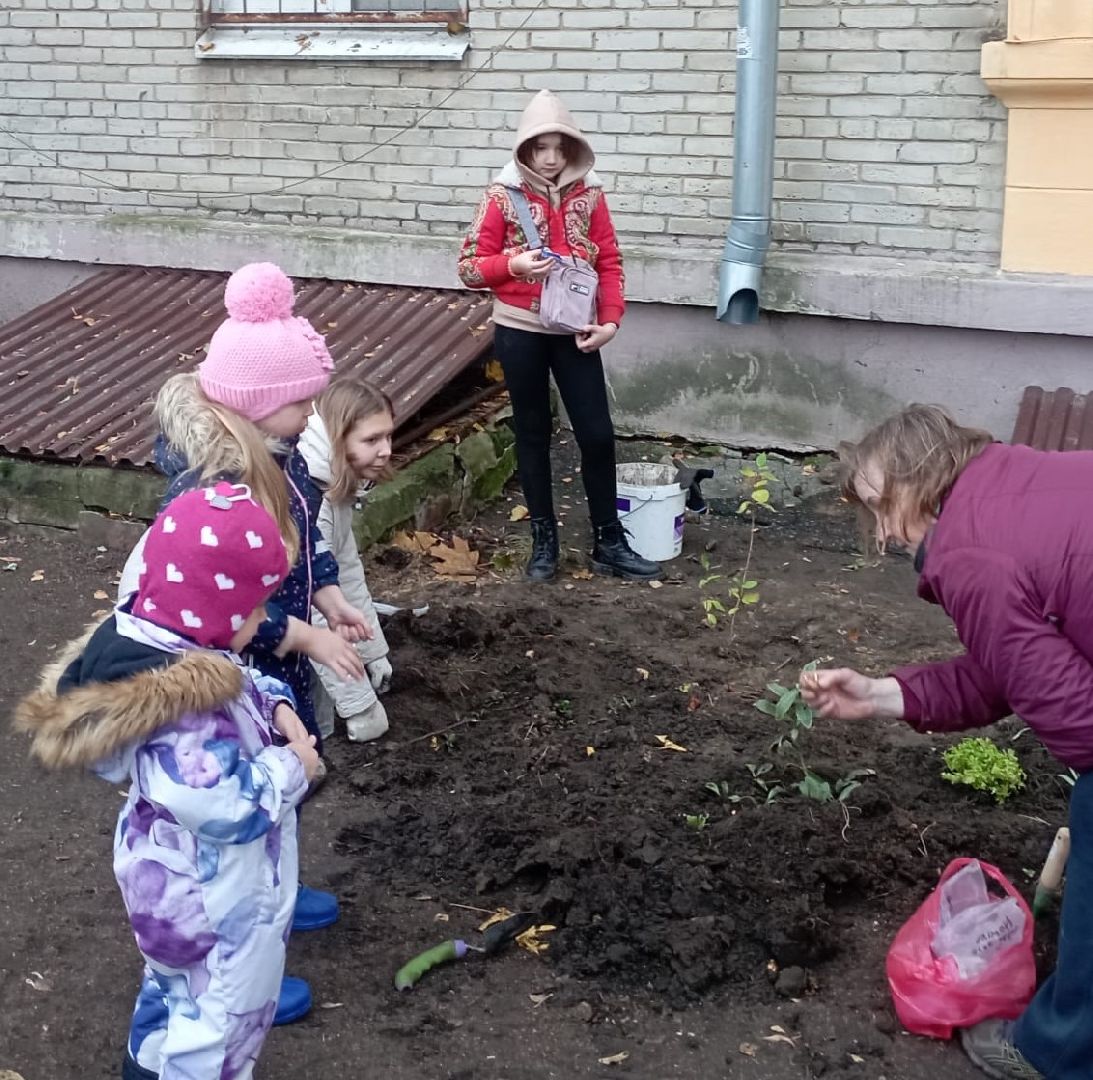 Город-Сад, палисадник, цветник, Пушкарева, Голосная, Вржесинская, Гроза, Булавина,