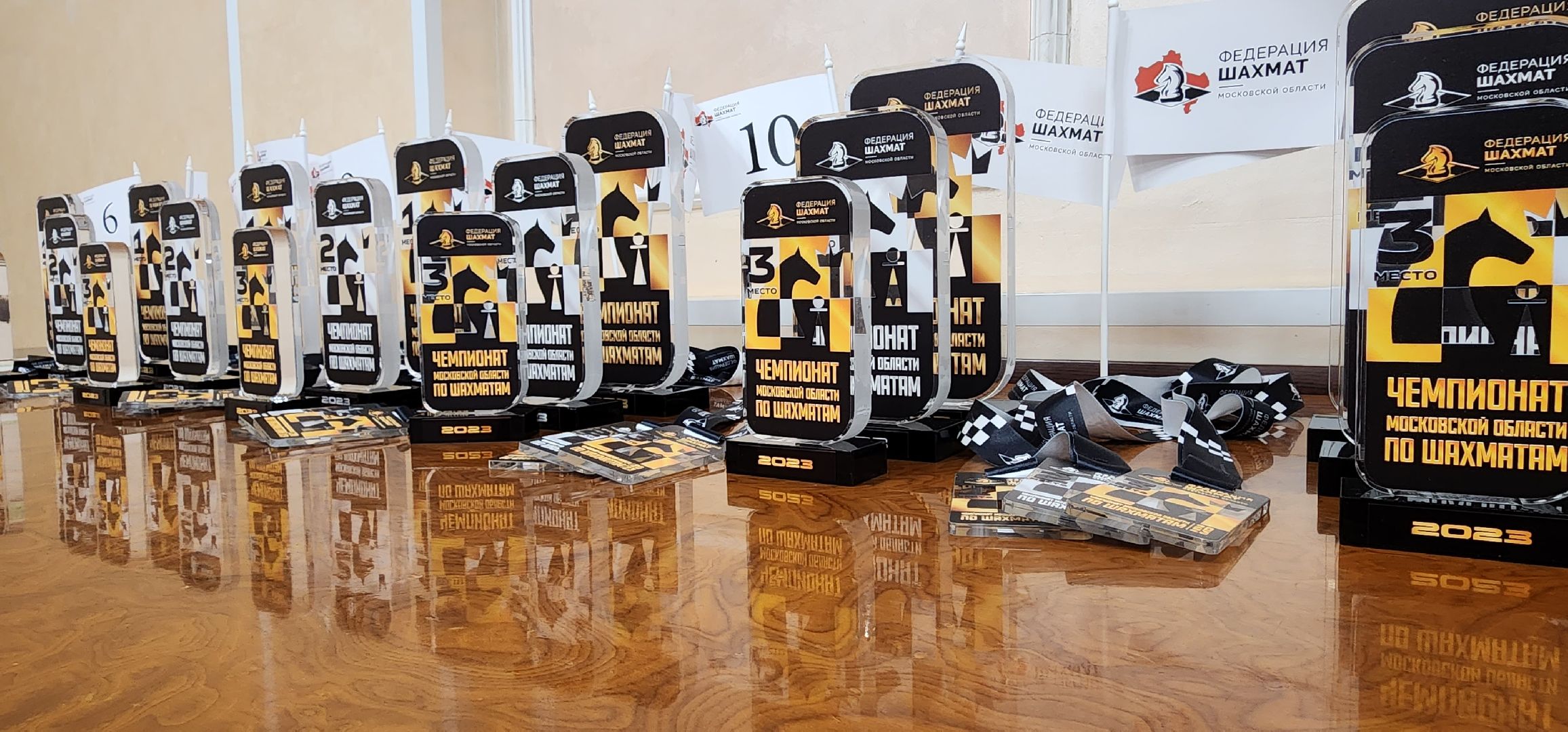 чемпионат по шахматам, Московская область, минспорт, белая ладья, Домодедово,