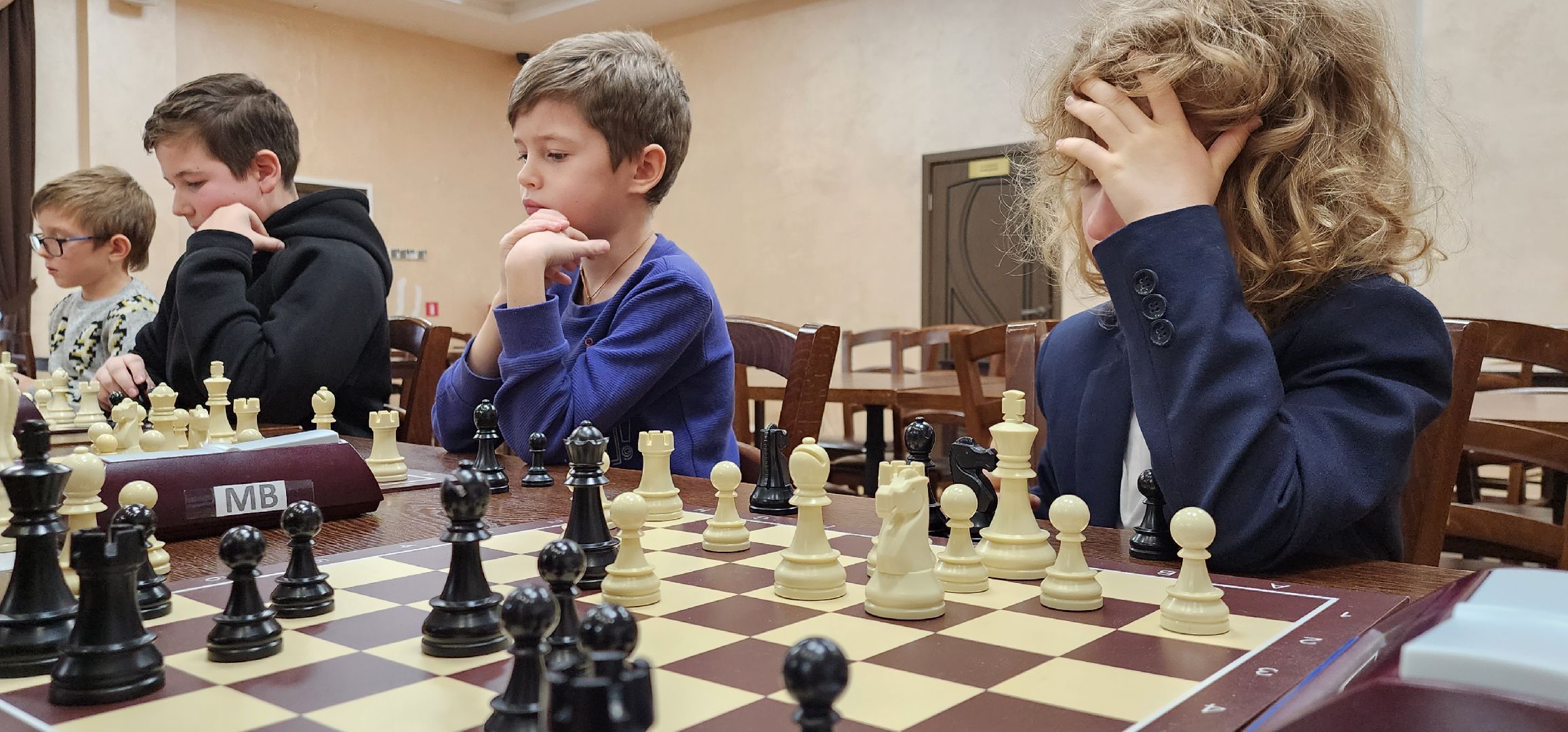 чемпионат по шахматам, Московская область, минспорт, белая ладья, Домодедово,
