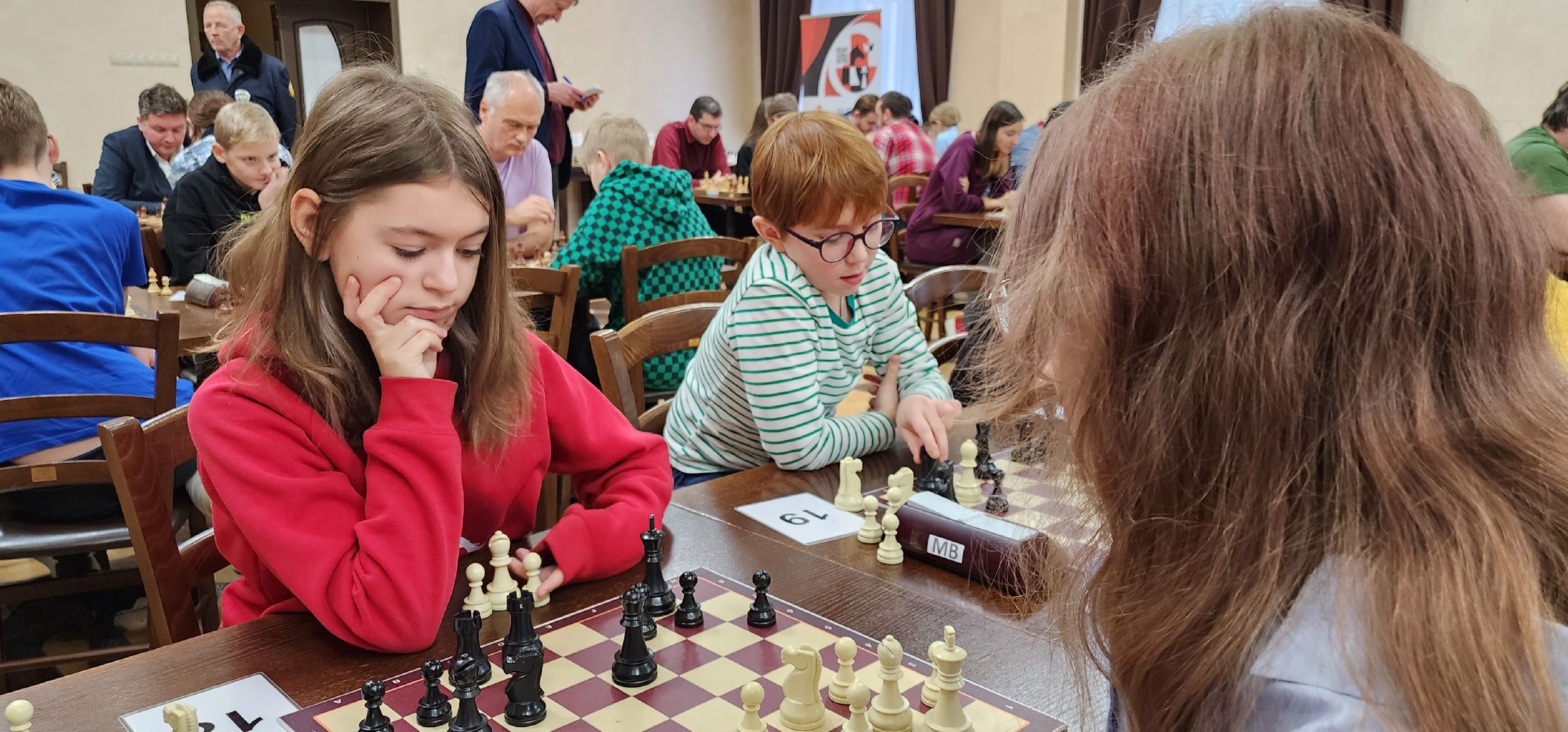 чемпионат по шахматам, Московская область, минспорт, белая ладья, Домодедово,