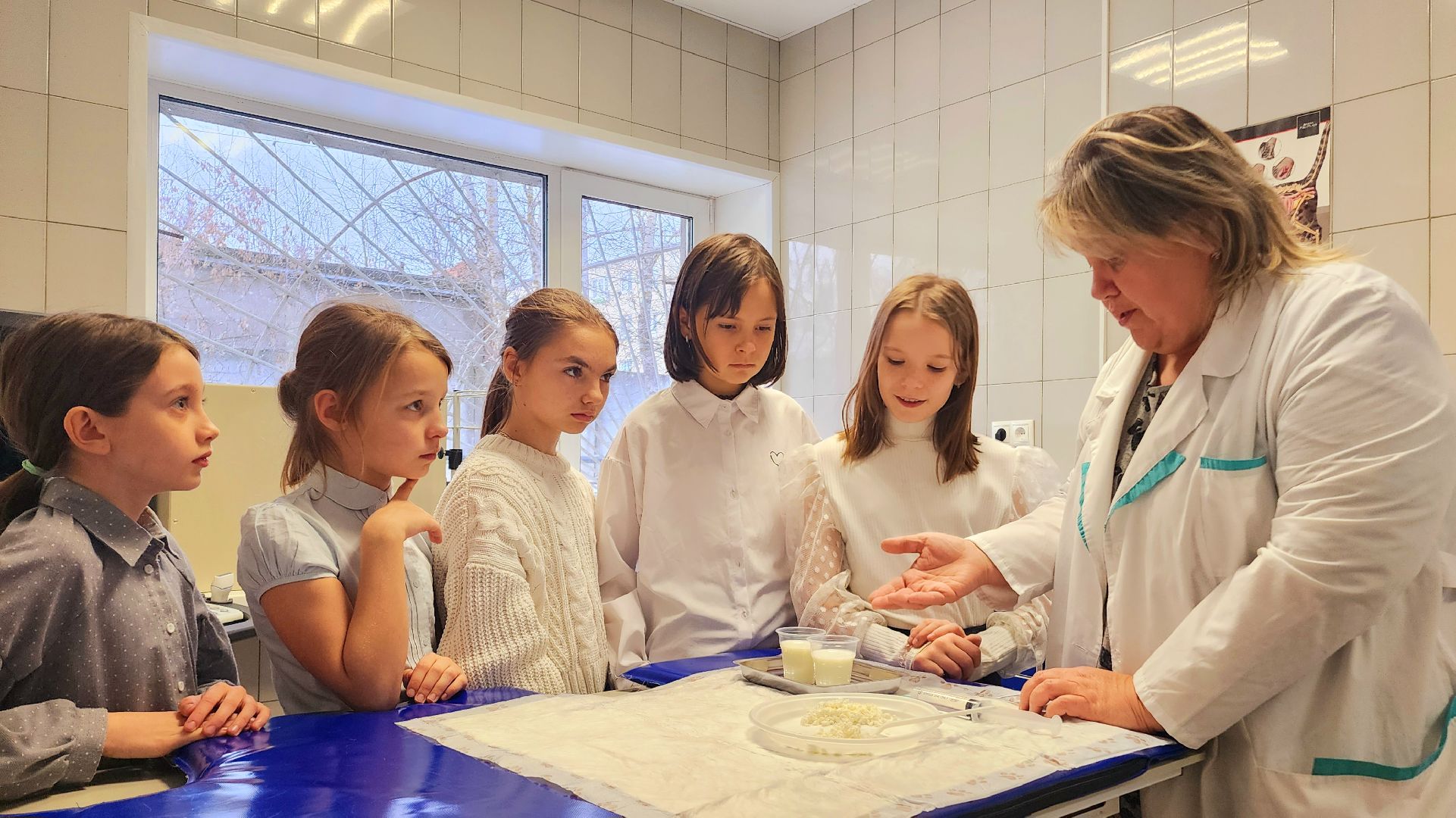 домодедово, подмосковье, Урок доброты, вет станция, ветеринарная станция, ТВУ 5, Госветслужба, Бездомные животные, лечение животных, домашние животные, ветеринарная клиника, лечение бешенства, профилактика бешенства, ветеринария, пушистый пациент, Уроки доброты,