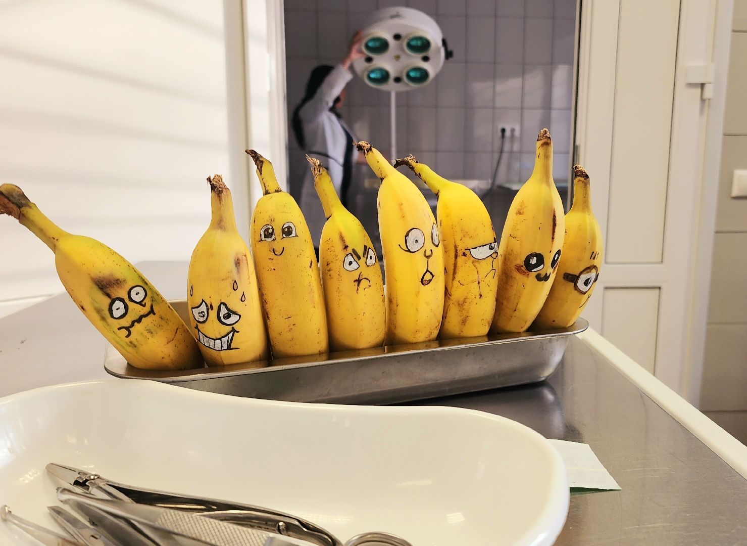 домодедово, подмосковье, Урок доброты, вет станция, ветеринарная станция, ТВУ 5, Госветслужба, Бездомные животные, лечение животных, домашние животные, ветеринарная клиника, лечение бешенства, профилактика бешенства, ветеринария, пушистый пациент, Уроки доброты,