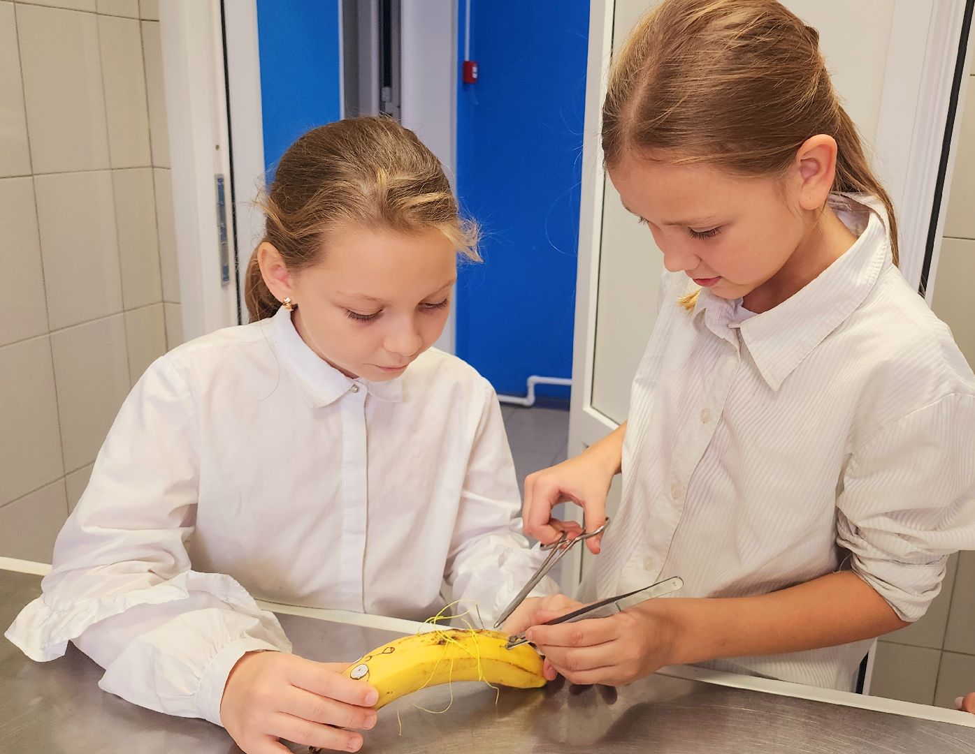 домодедово, подмосковье, Урок доброты, вет станция, ветеринарная станция, ТВУ 5, Госветслужба, Бездомные животные, лечение животных, домашние животные, ветеринарная клиника, лечение бешенства, профилактика бешенства, ветеринария, пушистый пациент, Уроки доброты,