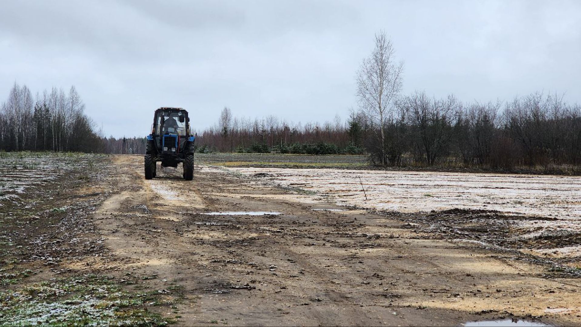Дмитров, Лесной питомник, Комитет лесного хозяйства,