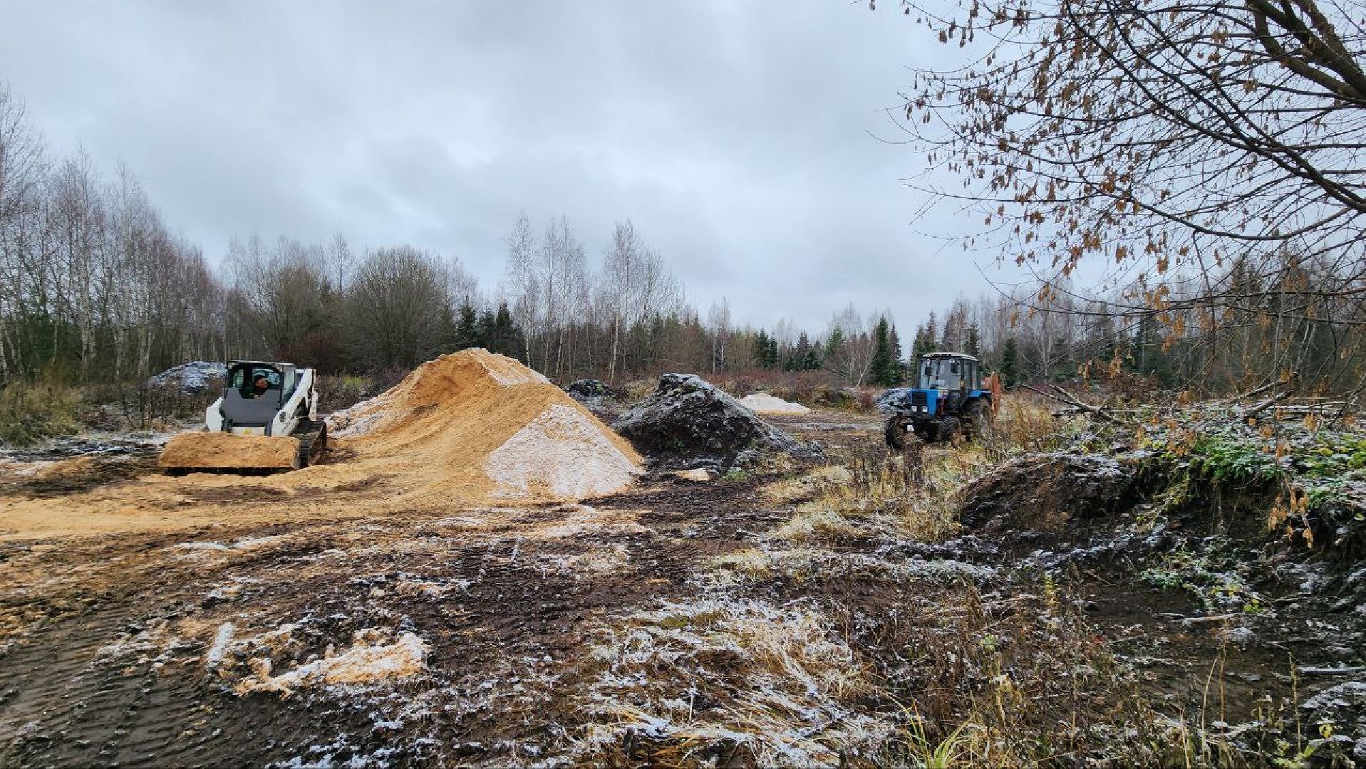 Дмитров, Лесной питомник, Комитет лесного хозяйства,