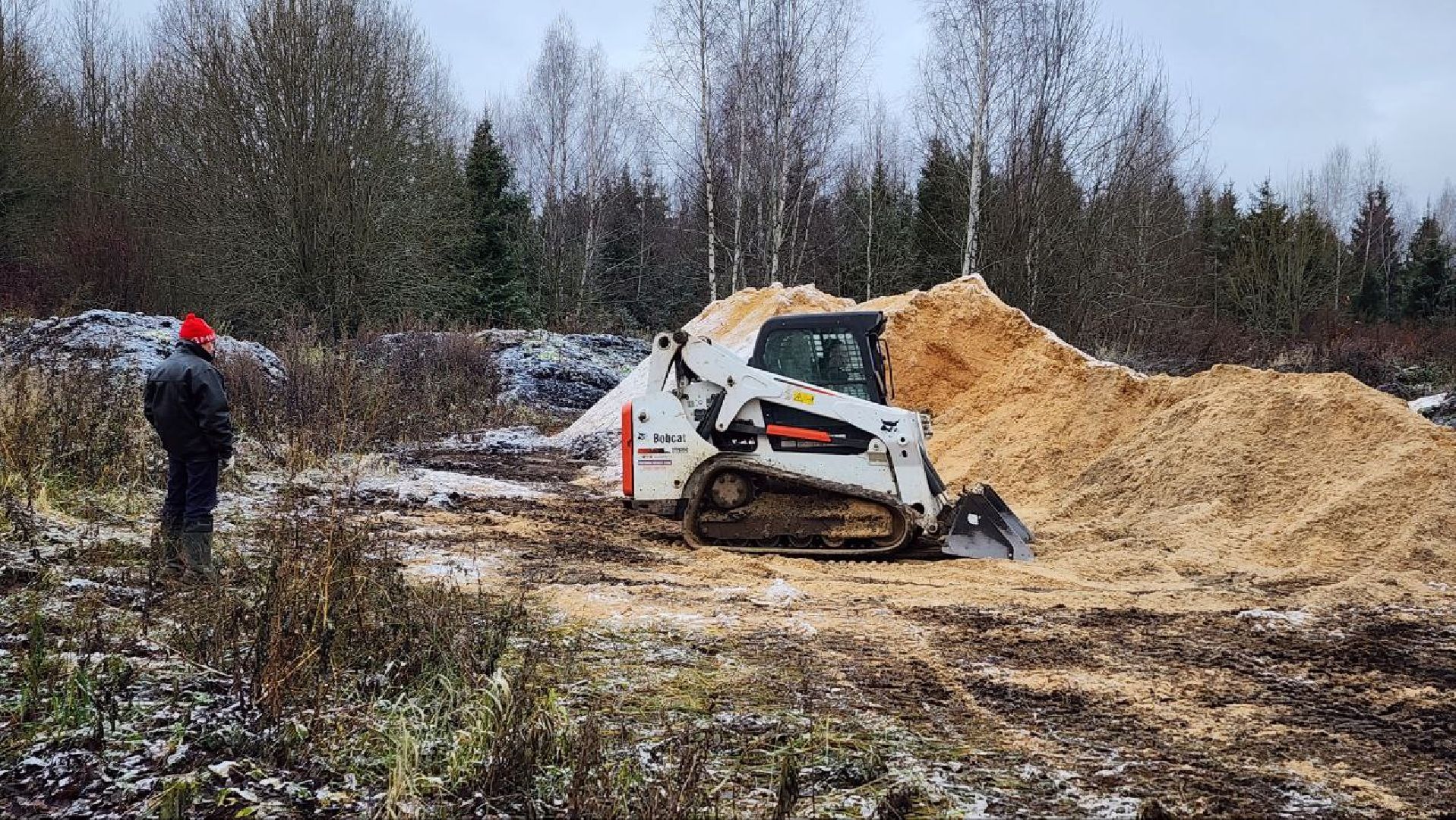 Дмитров, Лесной питомник, Комитет лесного хозяйства,