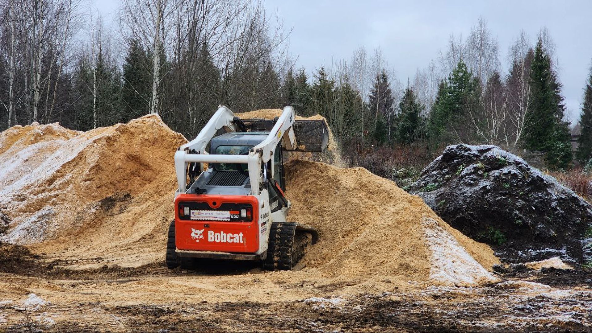 Дмитров, Лесной питомник, Комитет лесного хозяйства,