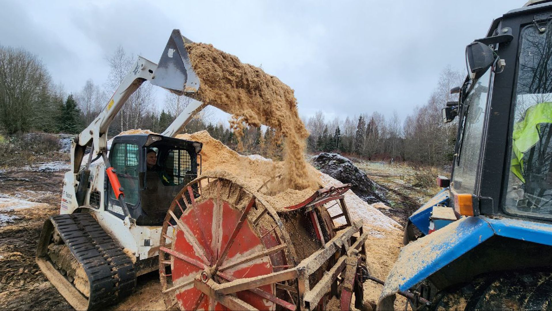 Дмитров, Лесной питомник, Комитет лесного хозяйства,