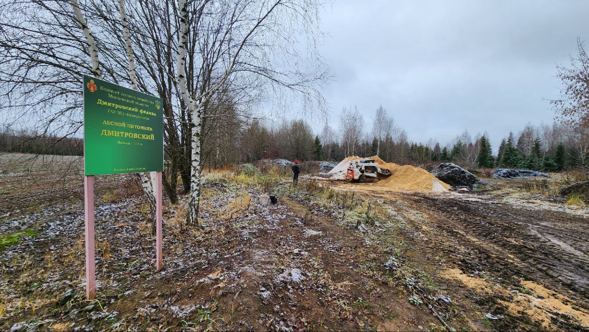 Дмитров, Лесной питомник, Комитет лесного хозяйства,