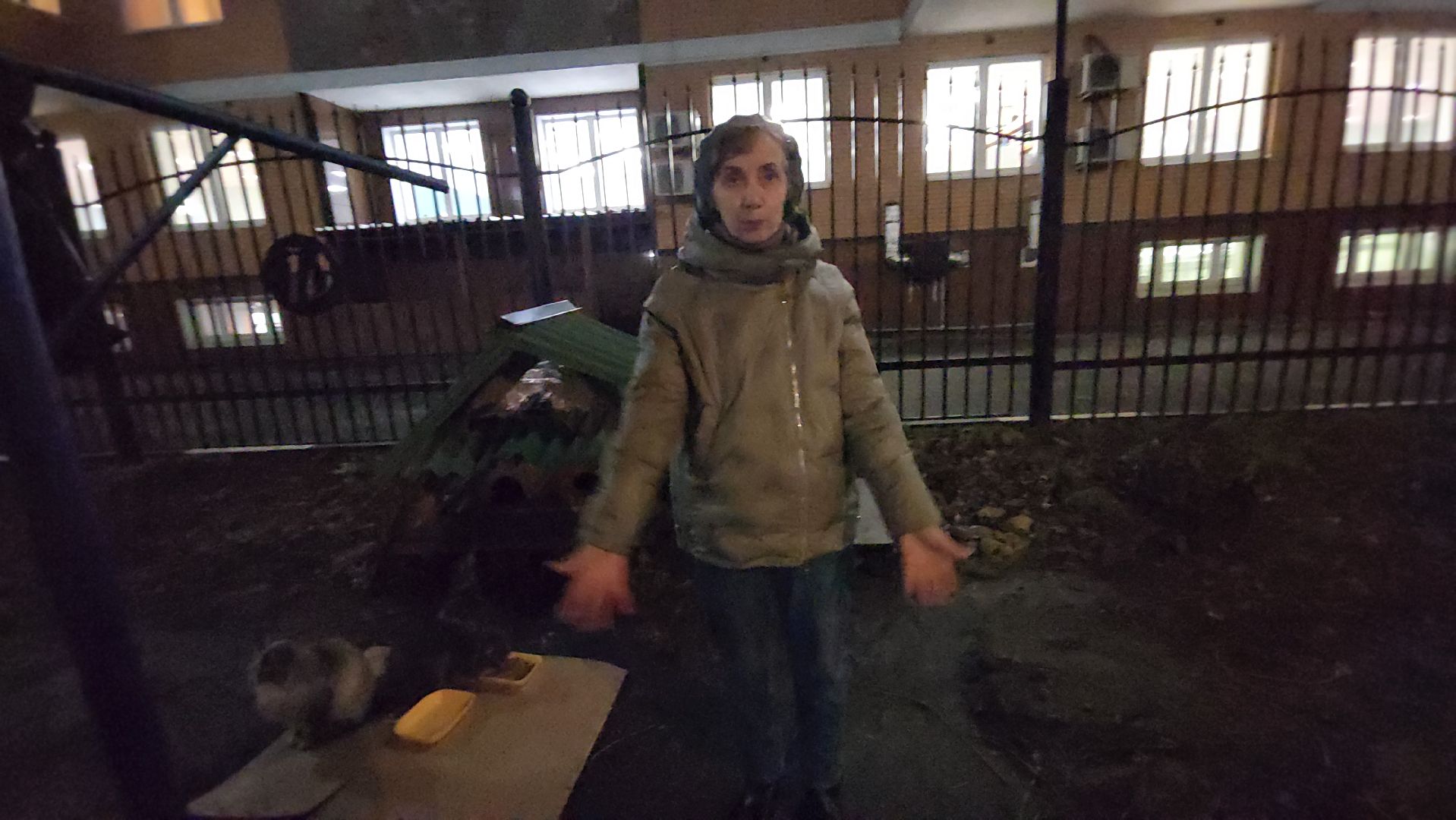 долгопрудный, кошкин дом, коты, крысоловы,